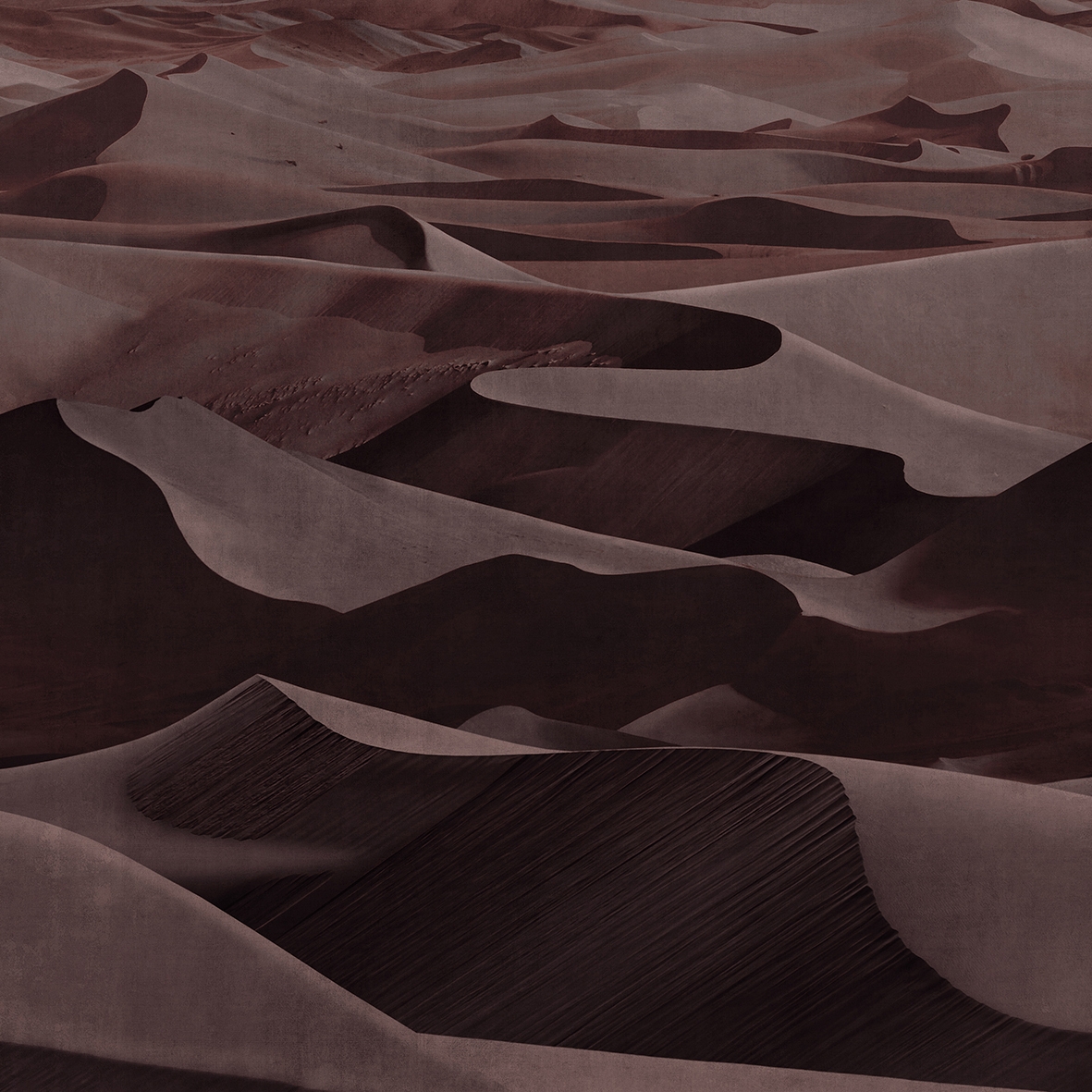 Dune