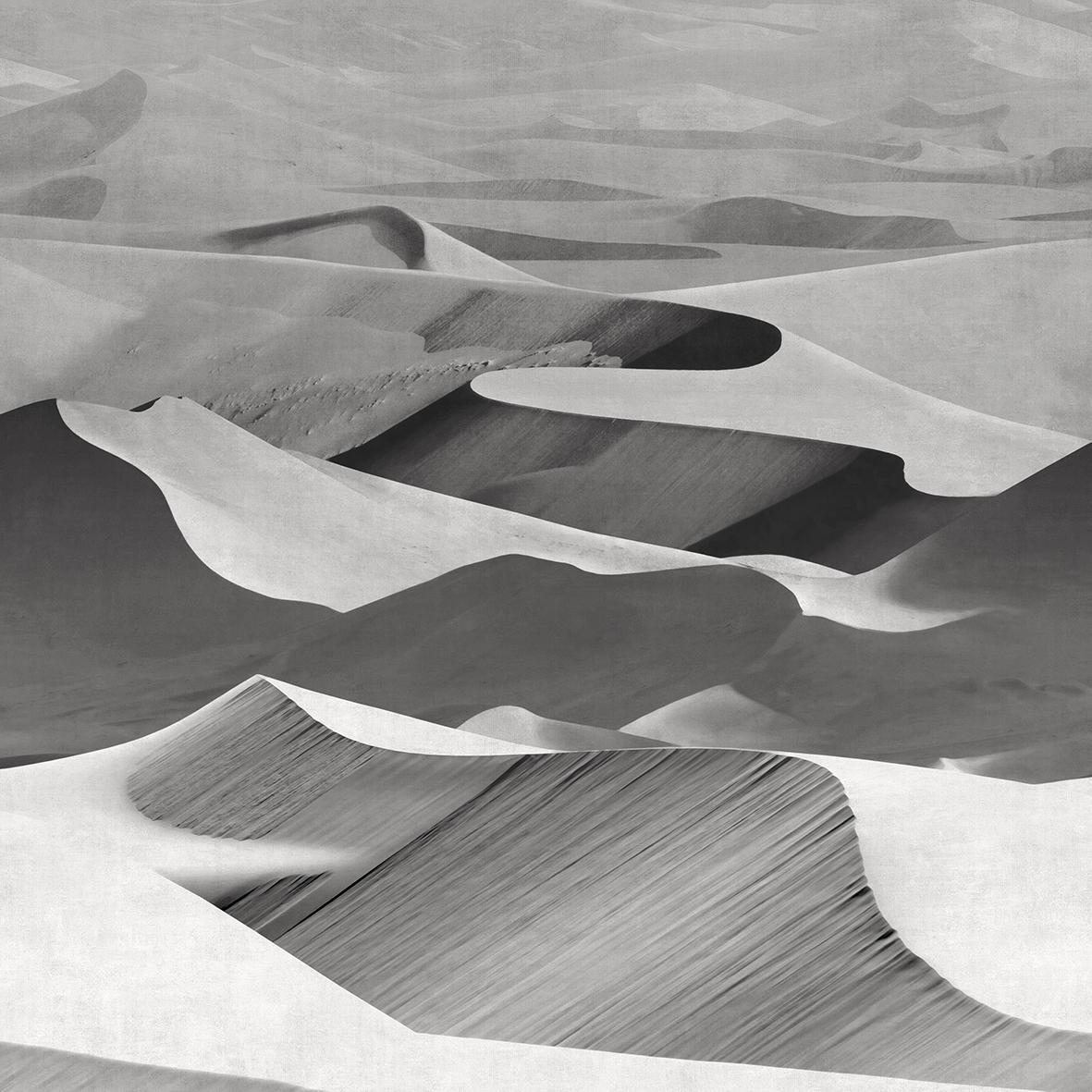Dune