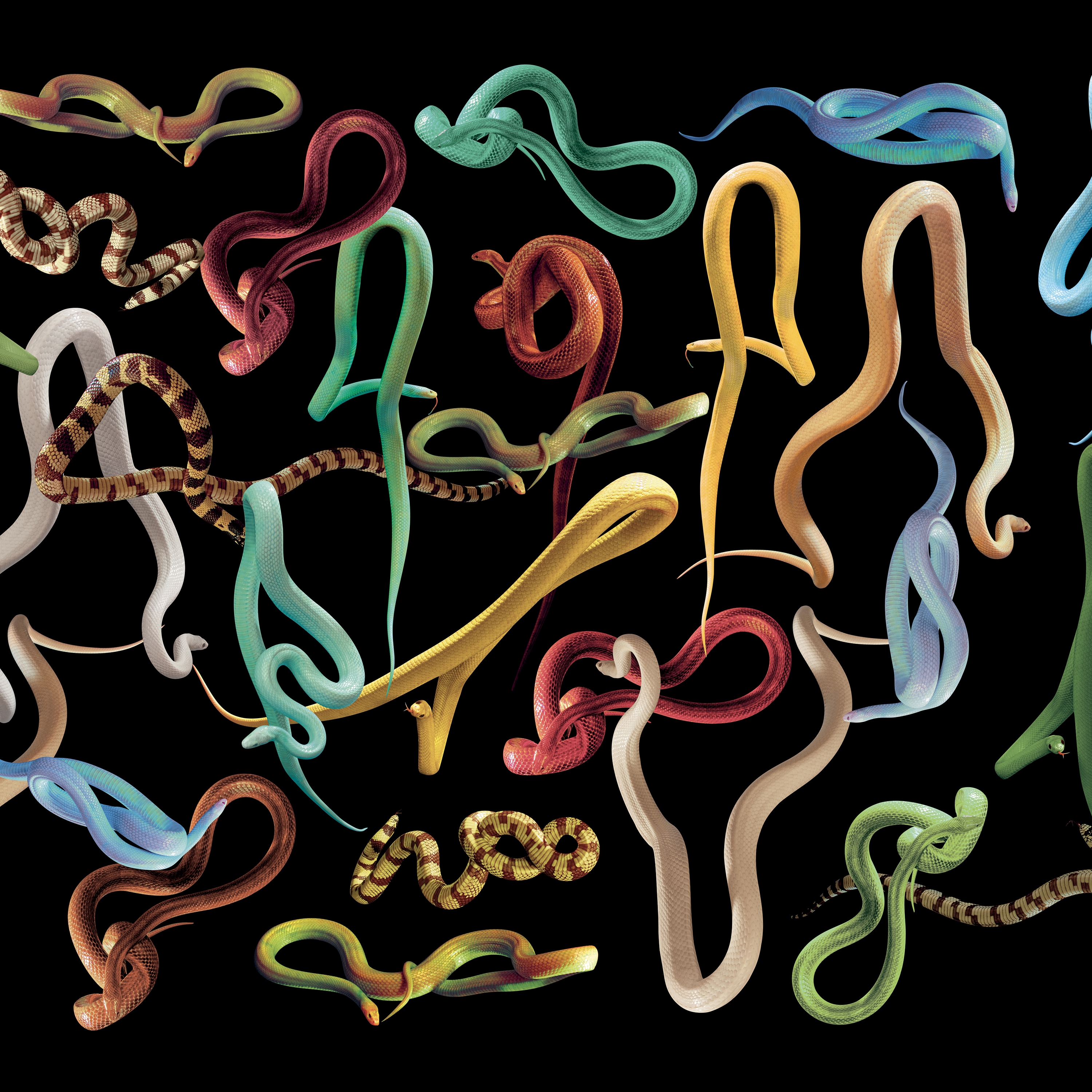 Produkt Snakes Storm des Herstellers LONDONART anzeigen