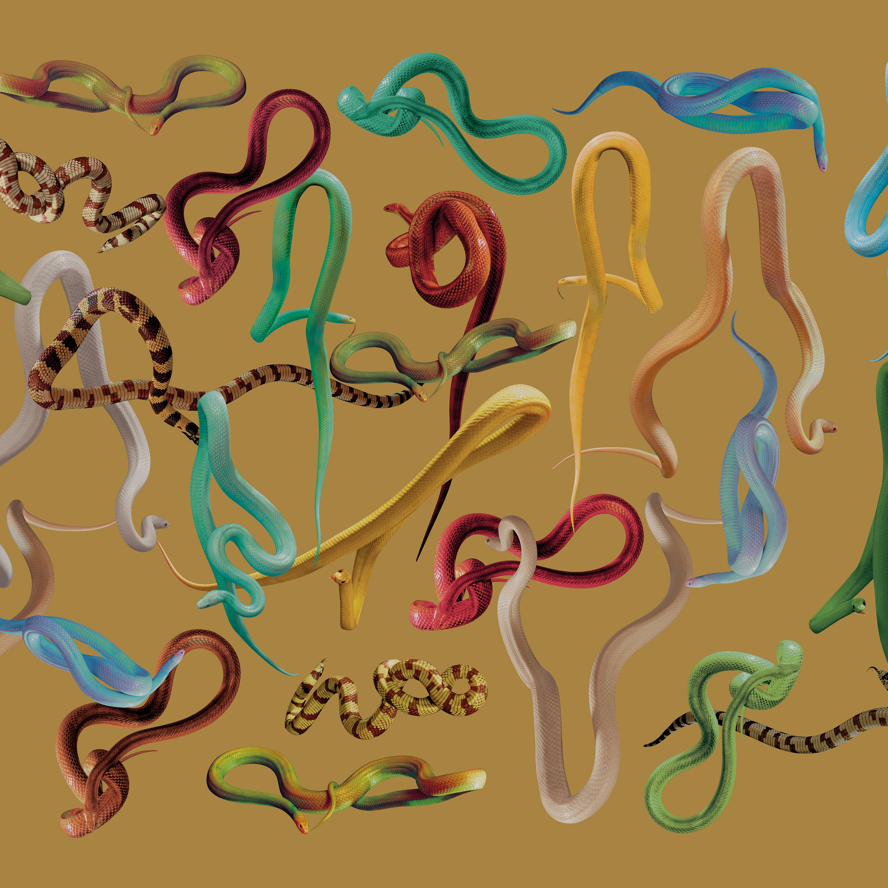 Produkt Snakes Storm des Herstellers LONDONART anzeigen