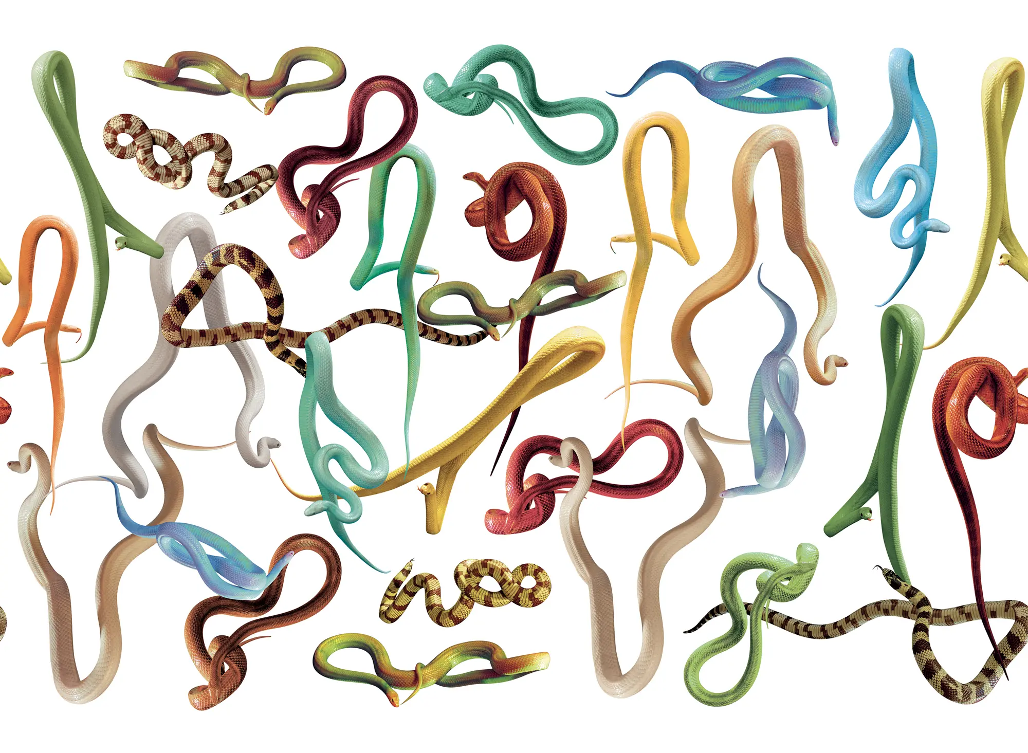 LONDONART - Snakes Storm