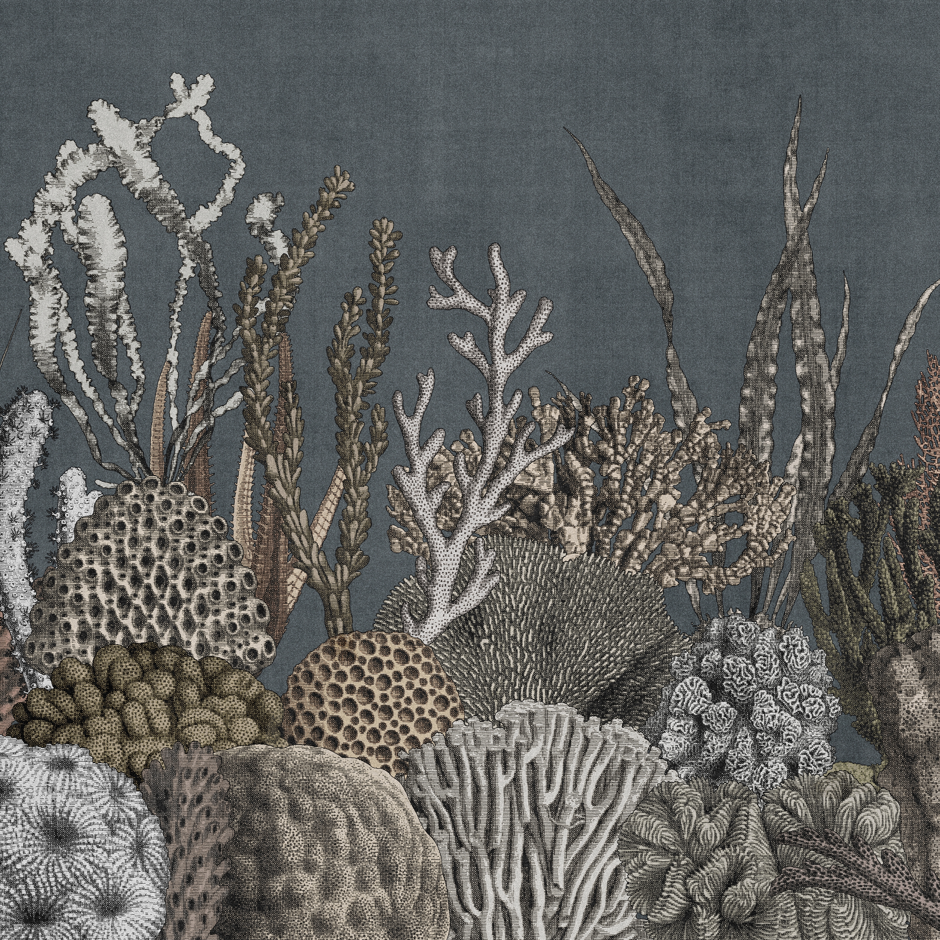 Vertoon produk See Sea van vervaardiger LONDONART