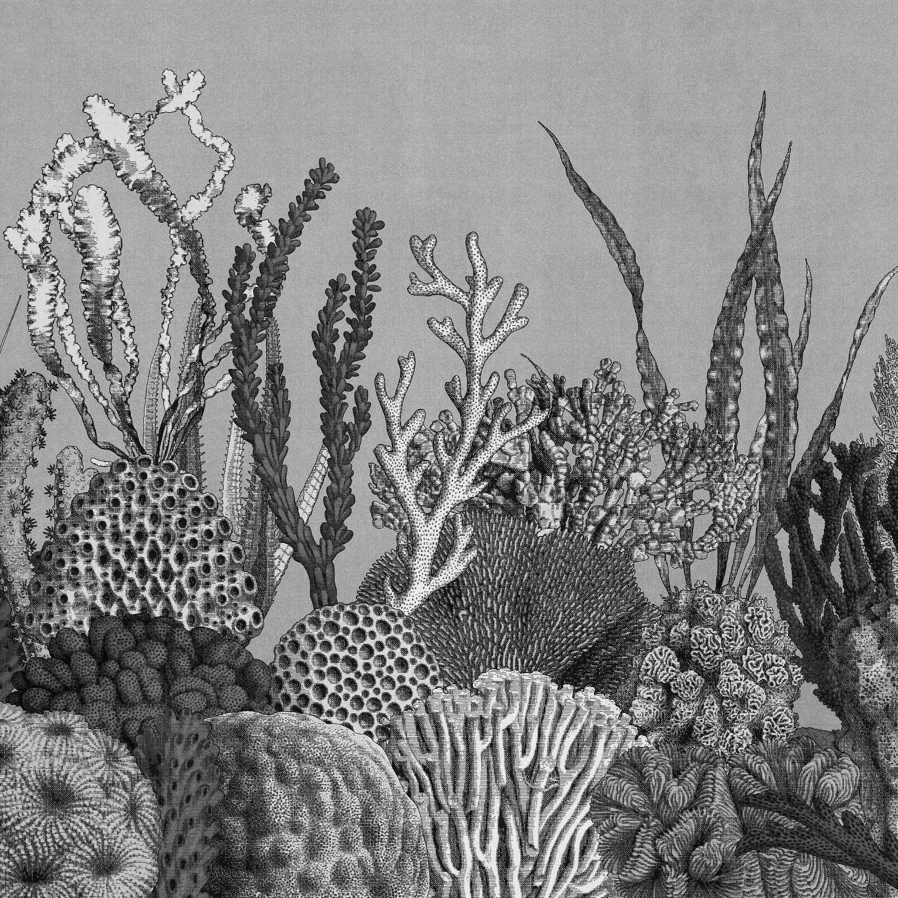 Vertoon produk See Sea van vervaardiger LONDONART