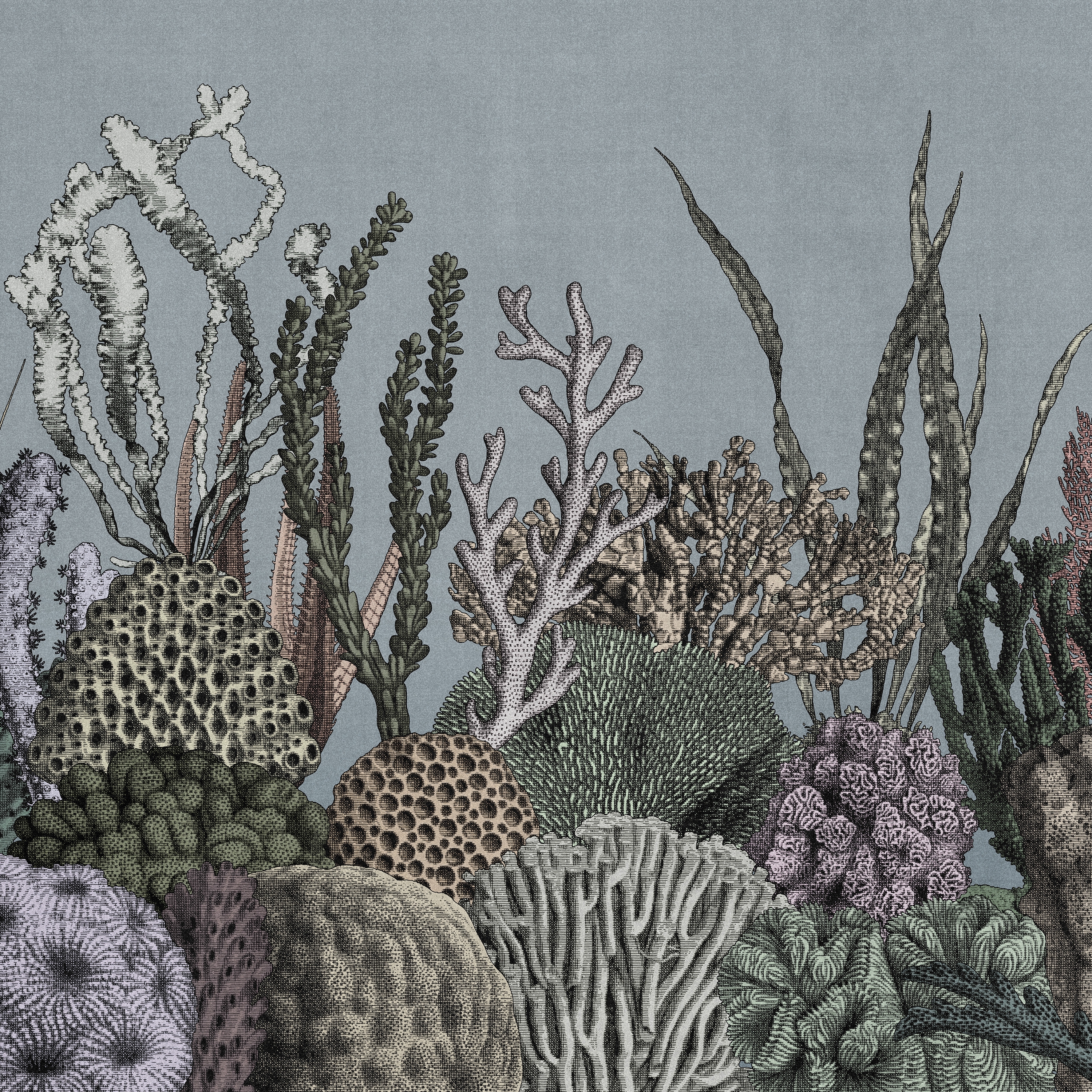 Vertoon produk See Sea van vervaardiger LONDONART