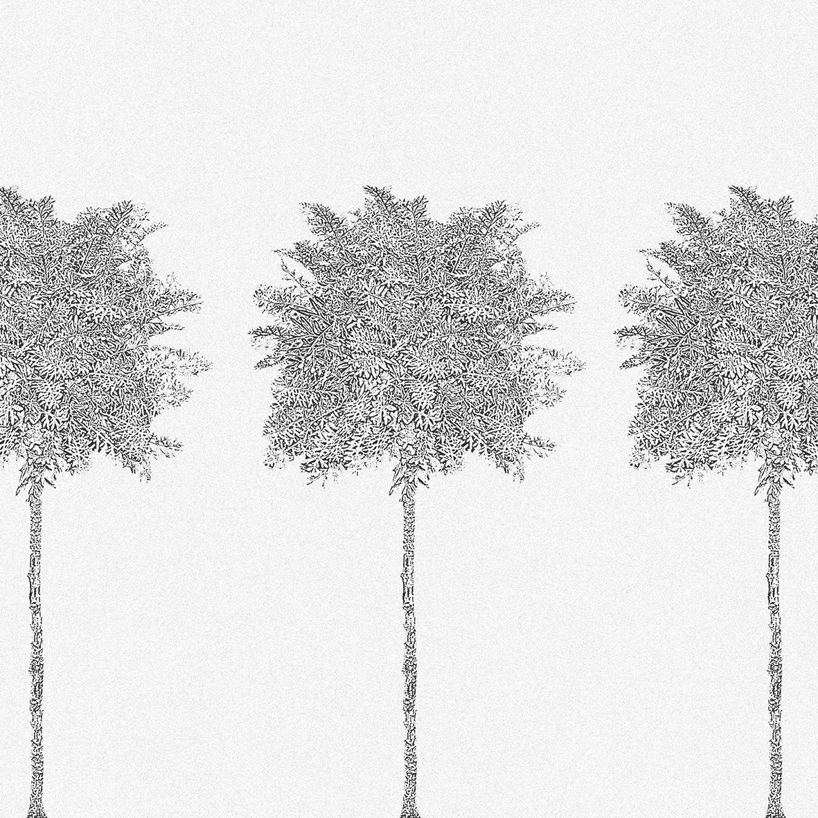 Mostra il prodotto Trees del produttore LONDONART