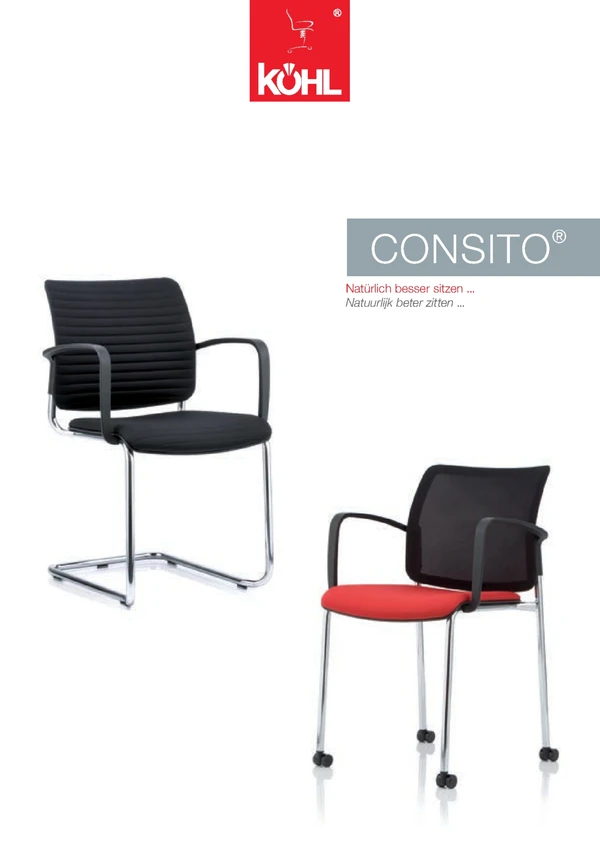 Imagen de vista previa del archivo Consito