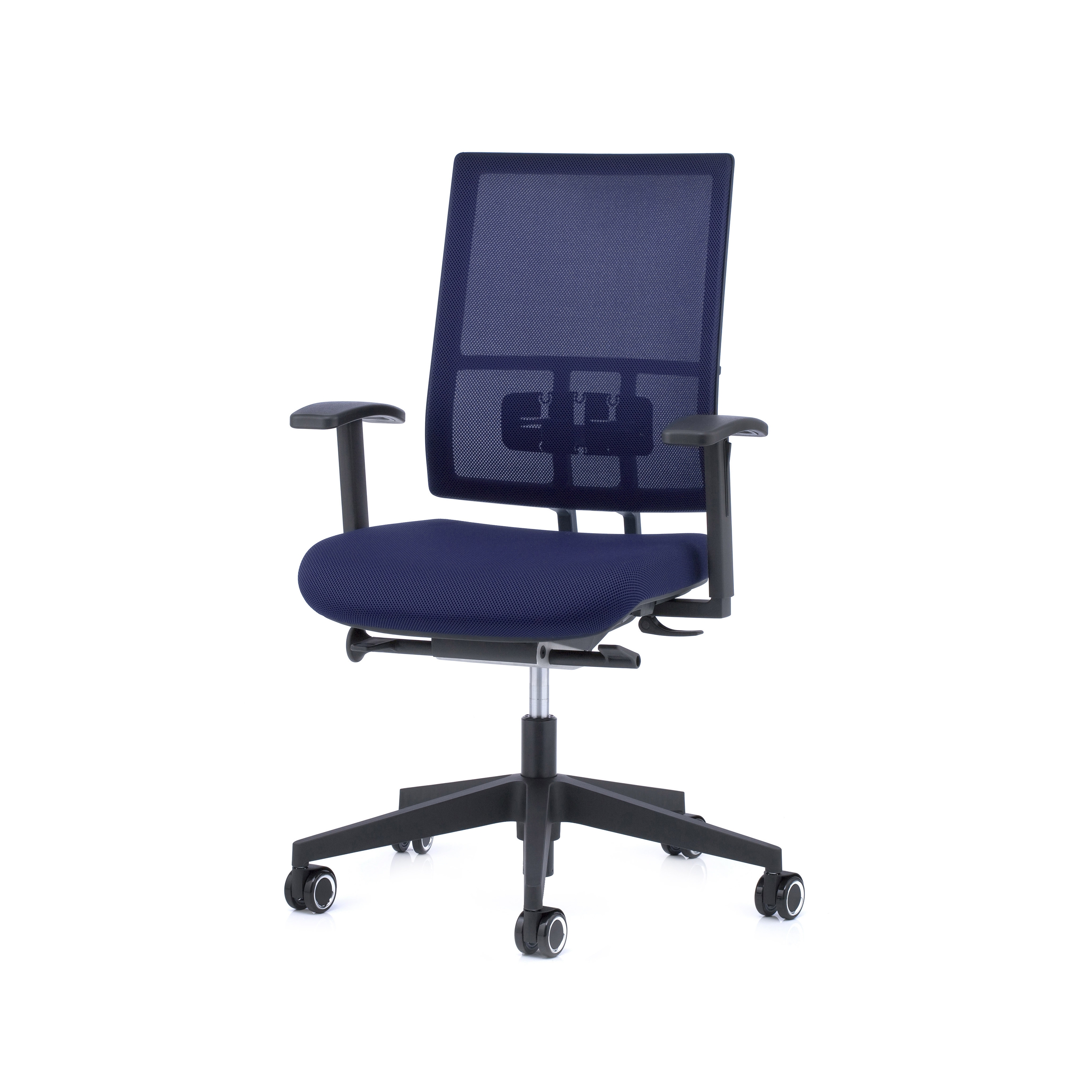 Anteo® Basic Network