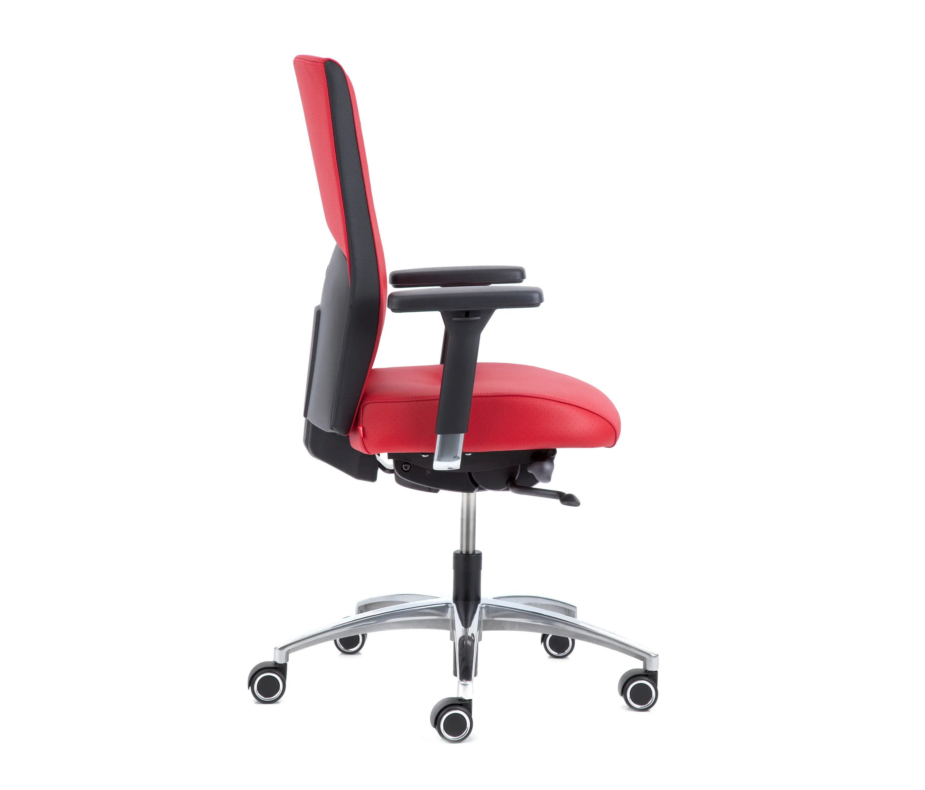 Köhl - Mireo® 6300
