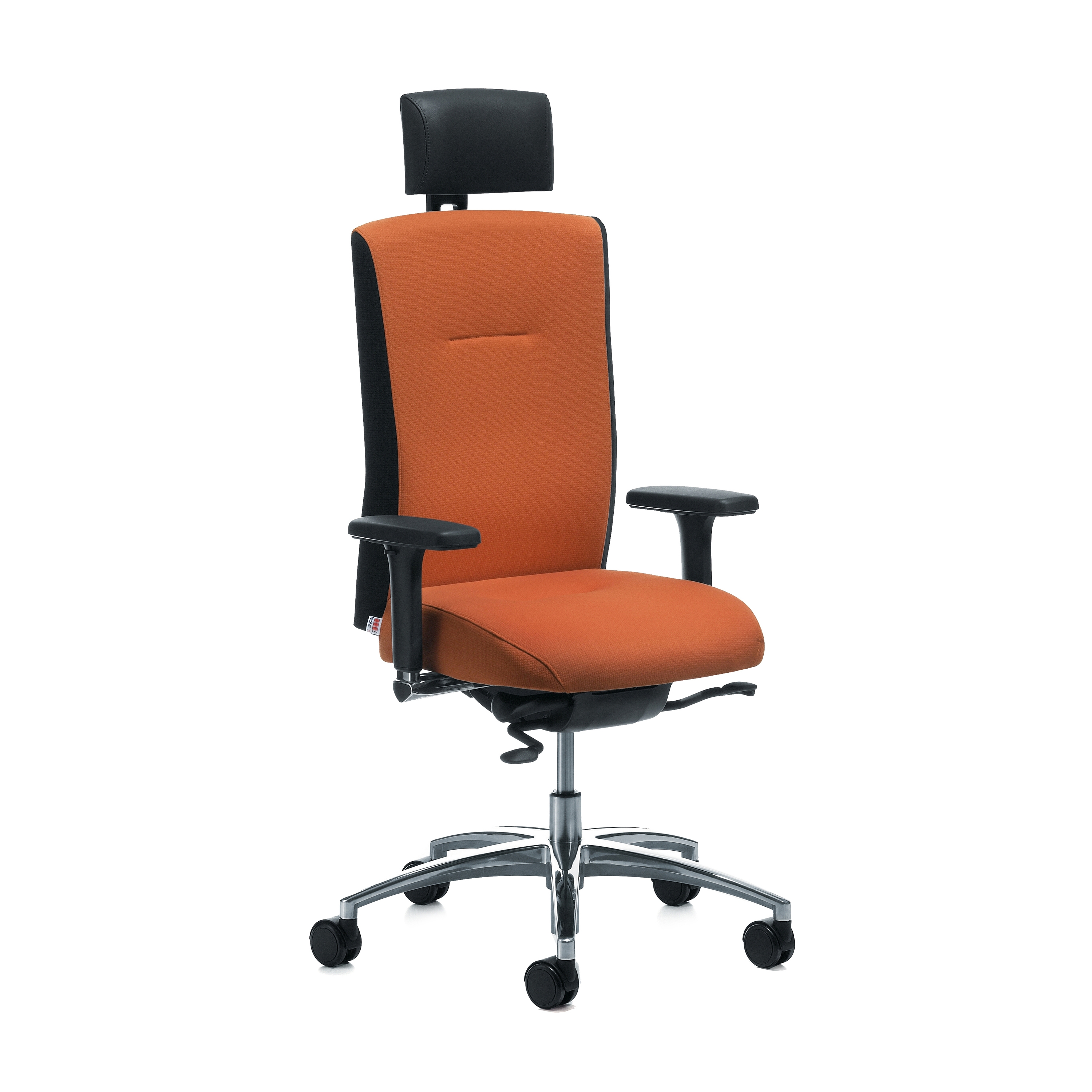 Afficher le produit Mireo® 6300 du fabricant Köhl