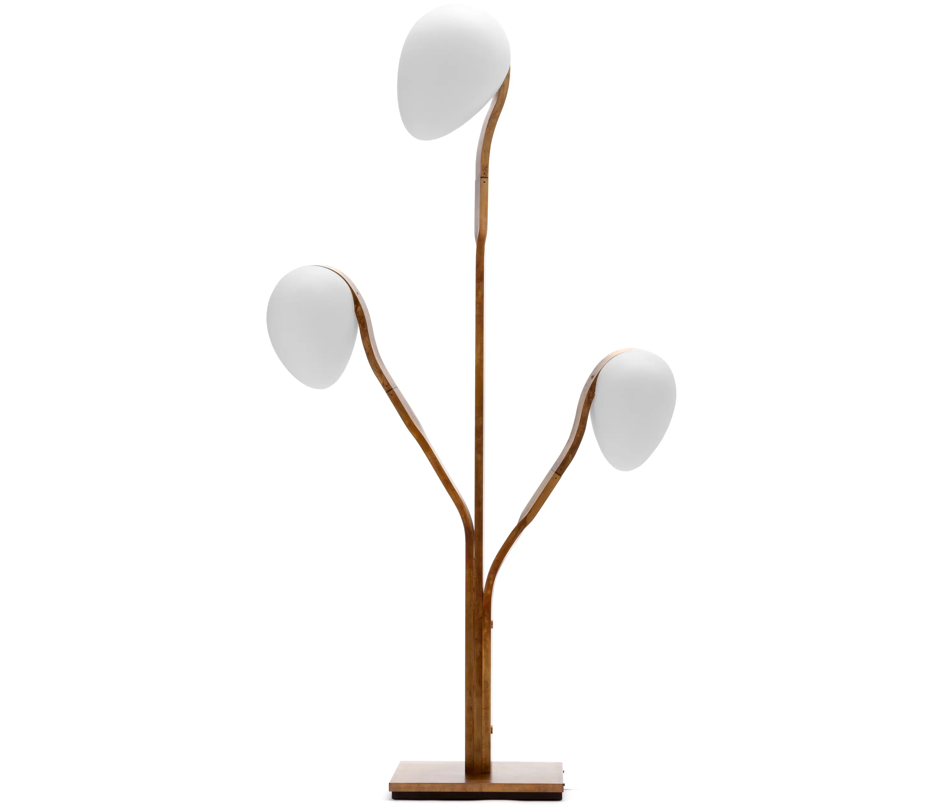 Exteta - 10th Tree Light