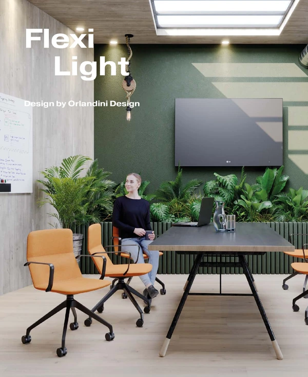 Preview image for the file Flexi Light Collection