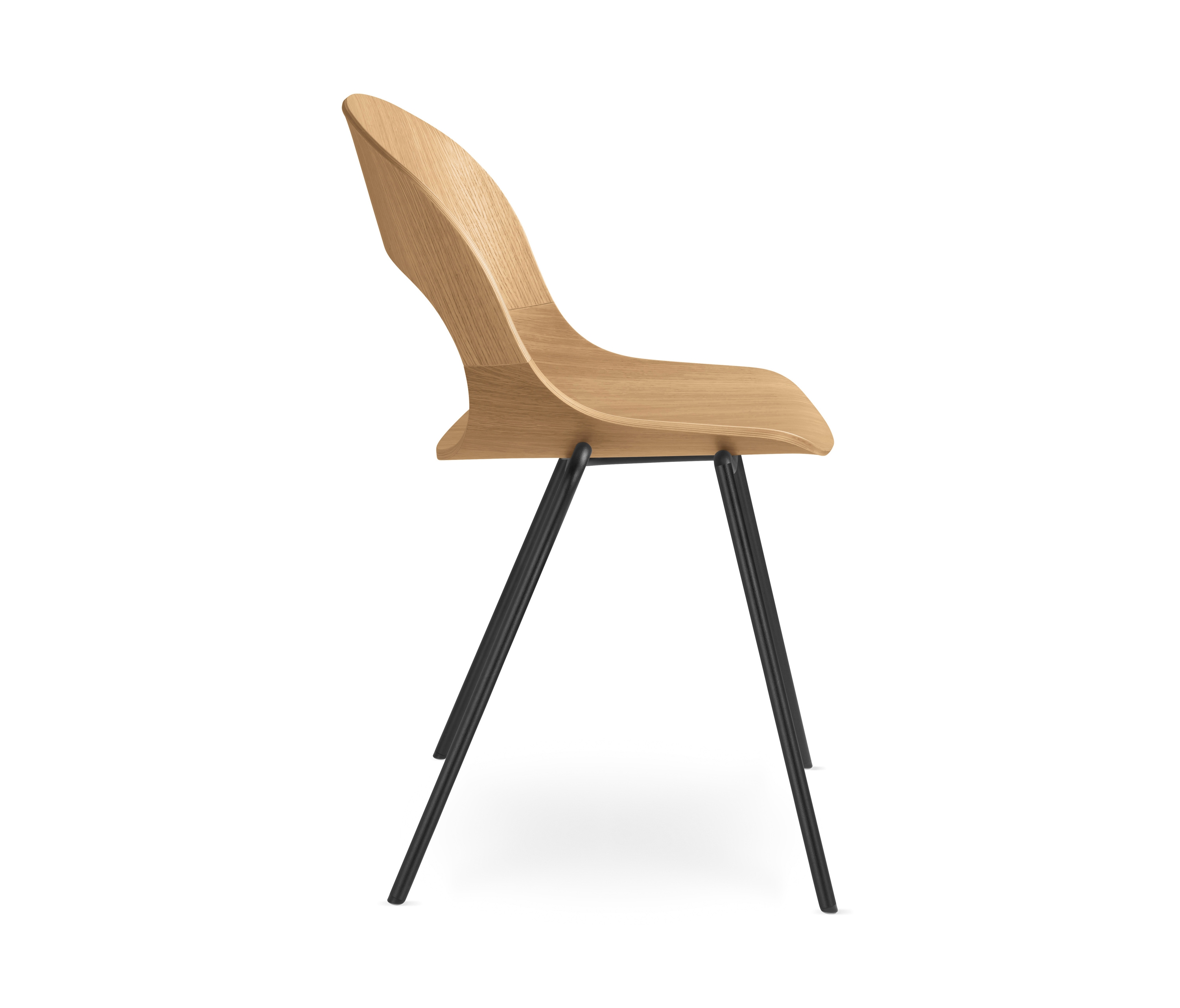 FLORENCE CHAIR D088 - Chairs from BoConcept | Architonic