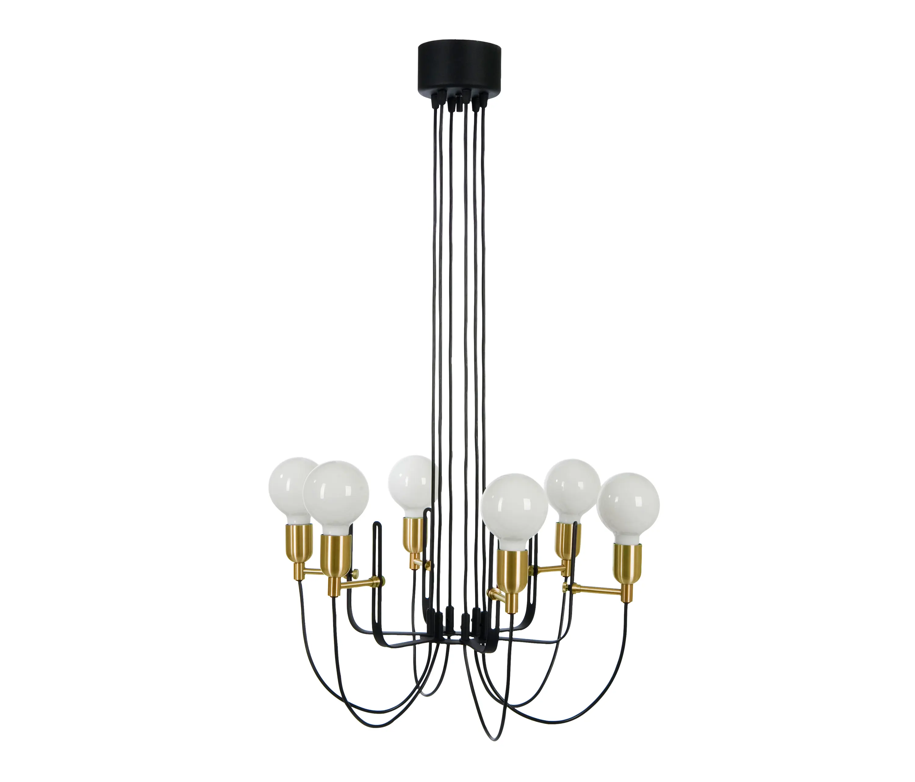 Belid PRO - Regal | 30 Black structure/Brass