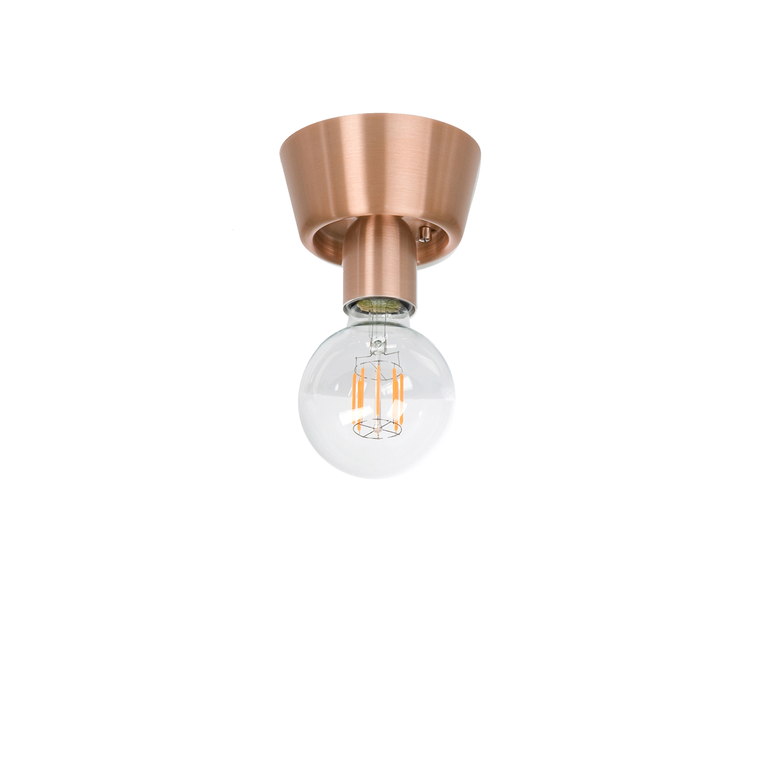 Regal | 2026-13 Copper