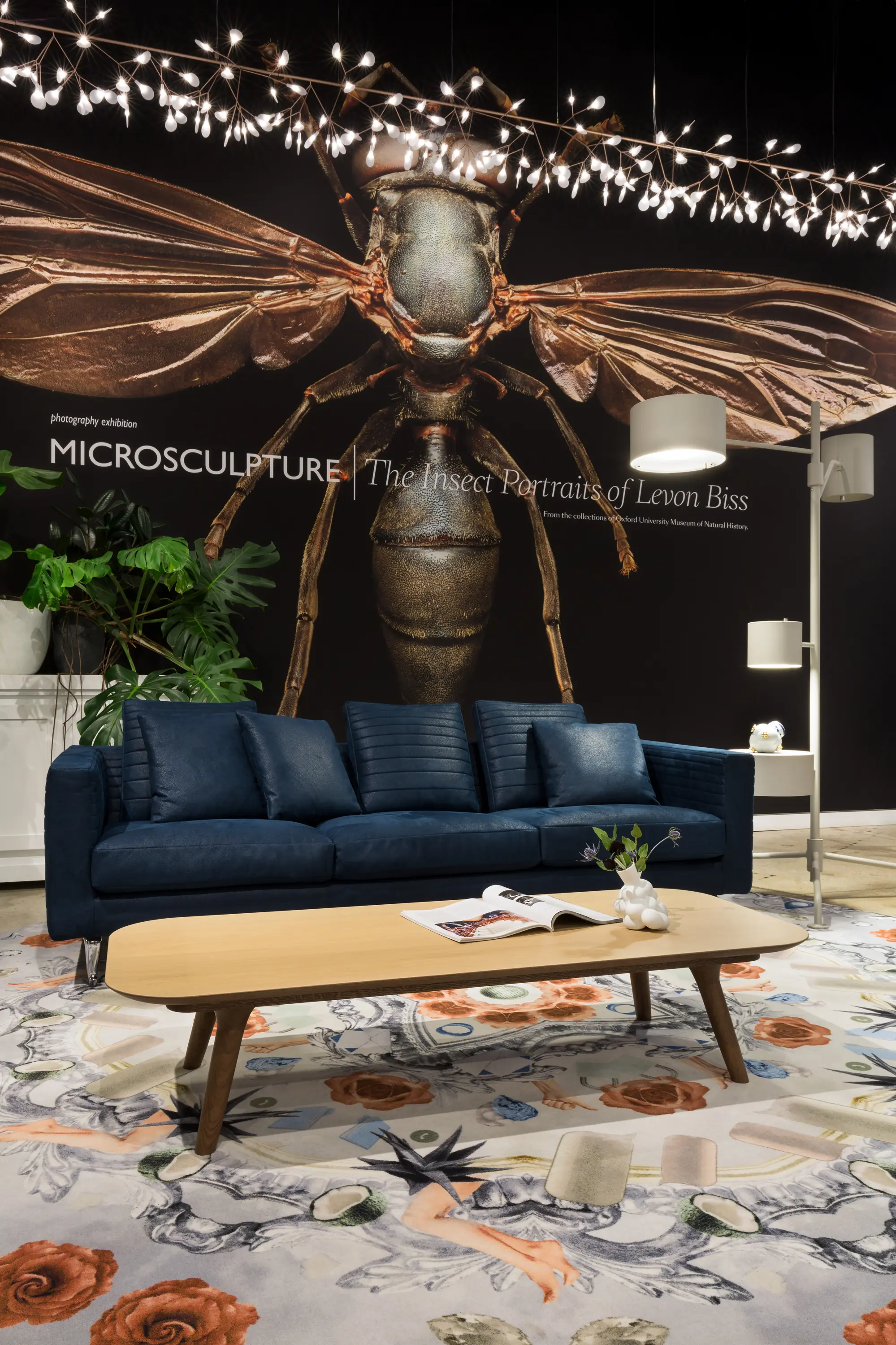 moooi carpets - Utiopian Fairy Tales | Joy Broadloom