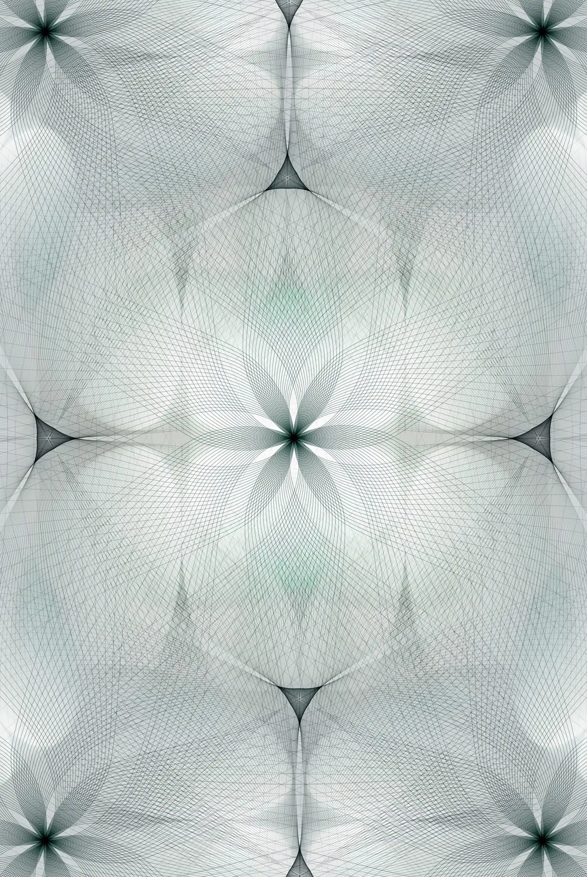 moooi carpets - Spiroflower | grey