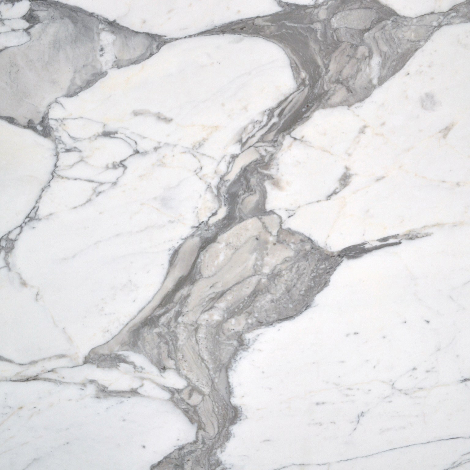 Mostrar el producto Material Calacatta Arabescato del fabricante Van den Weghe