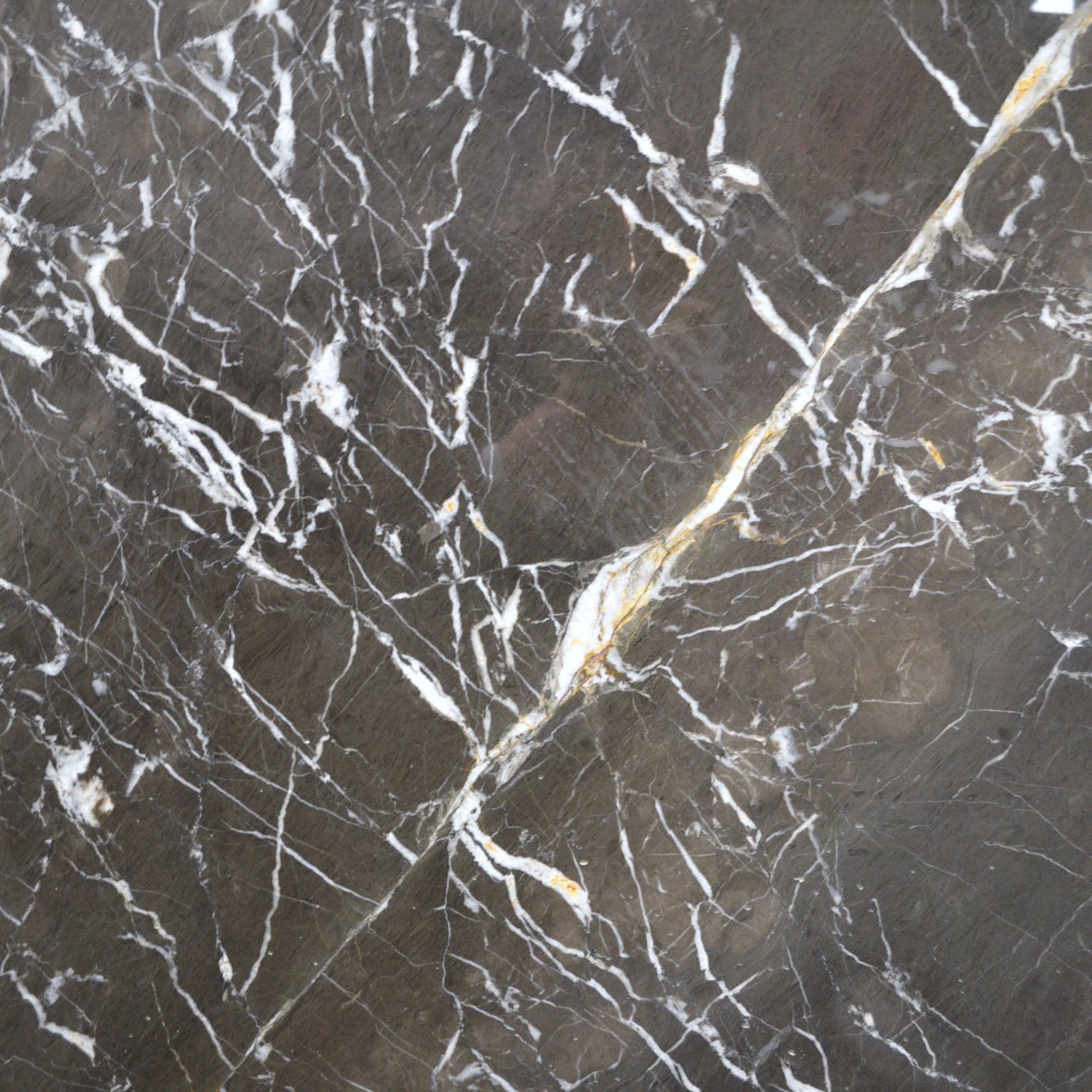 Mostrar el producto Material Gris Cegehin del fabricante Van den Weghe
