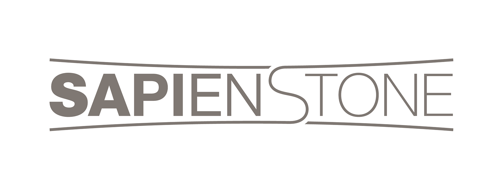 Logo de SapienStone