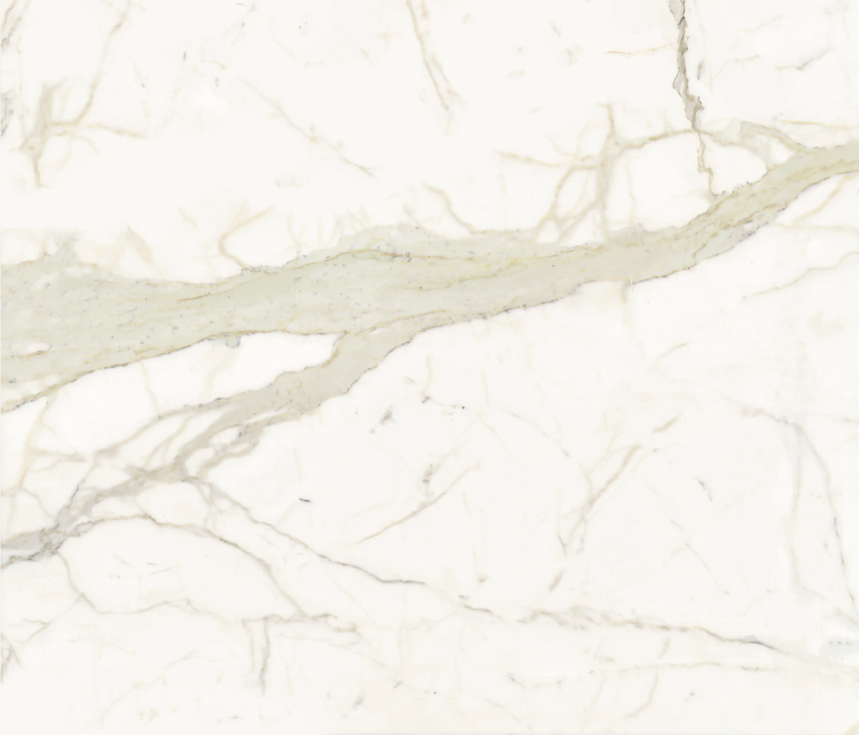 SapienStone - Calacatta
