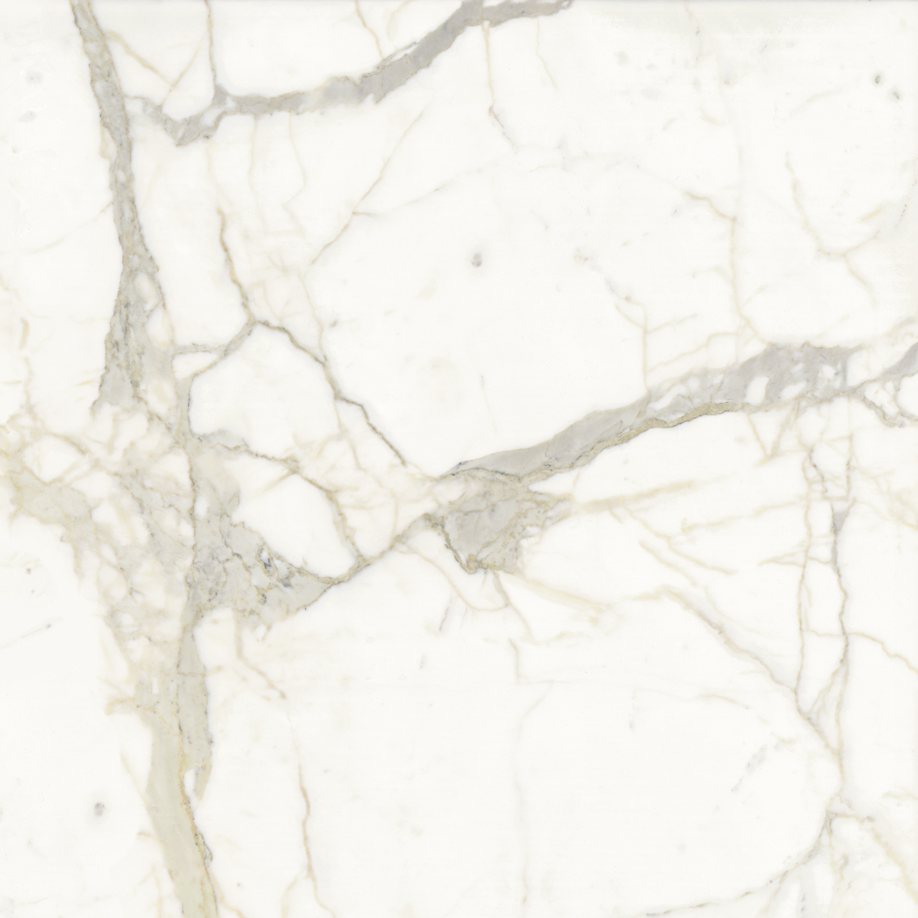 Mostra il prodotto Calacatta del produttore SapienStone