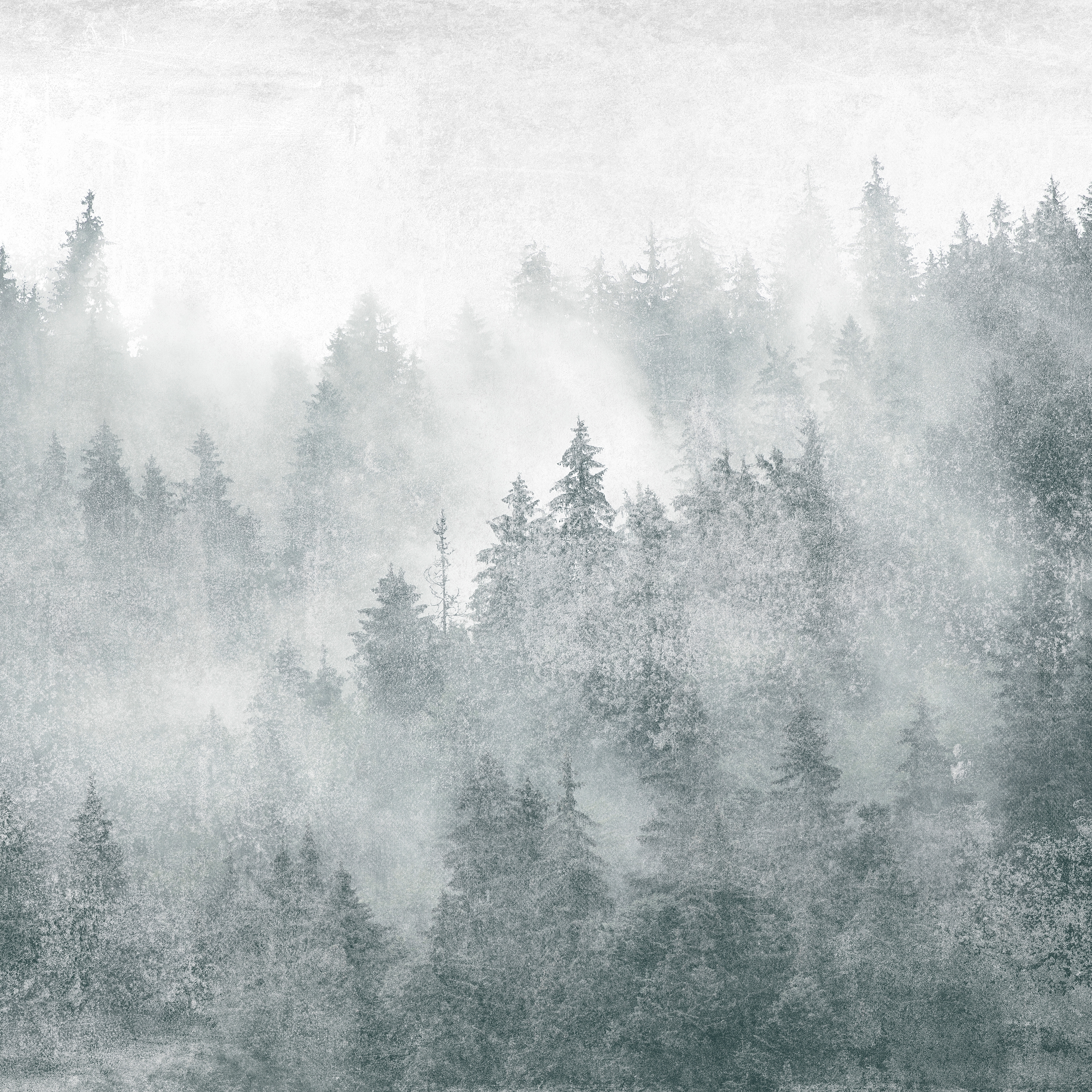 "LANDSCAPES" WALLPAPERS