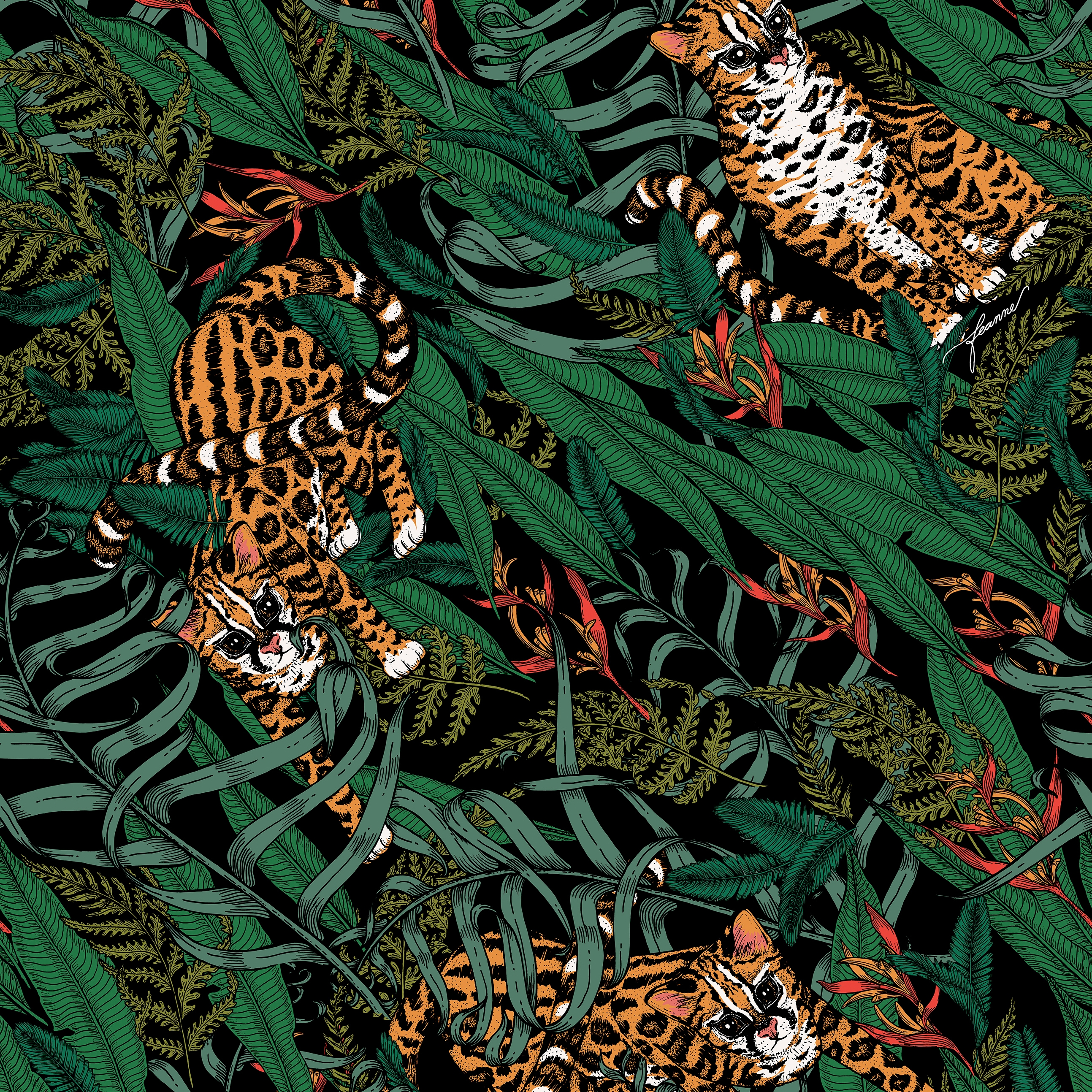 ANIMAL WALLPAPERS