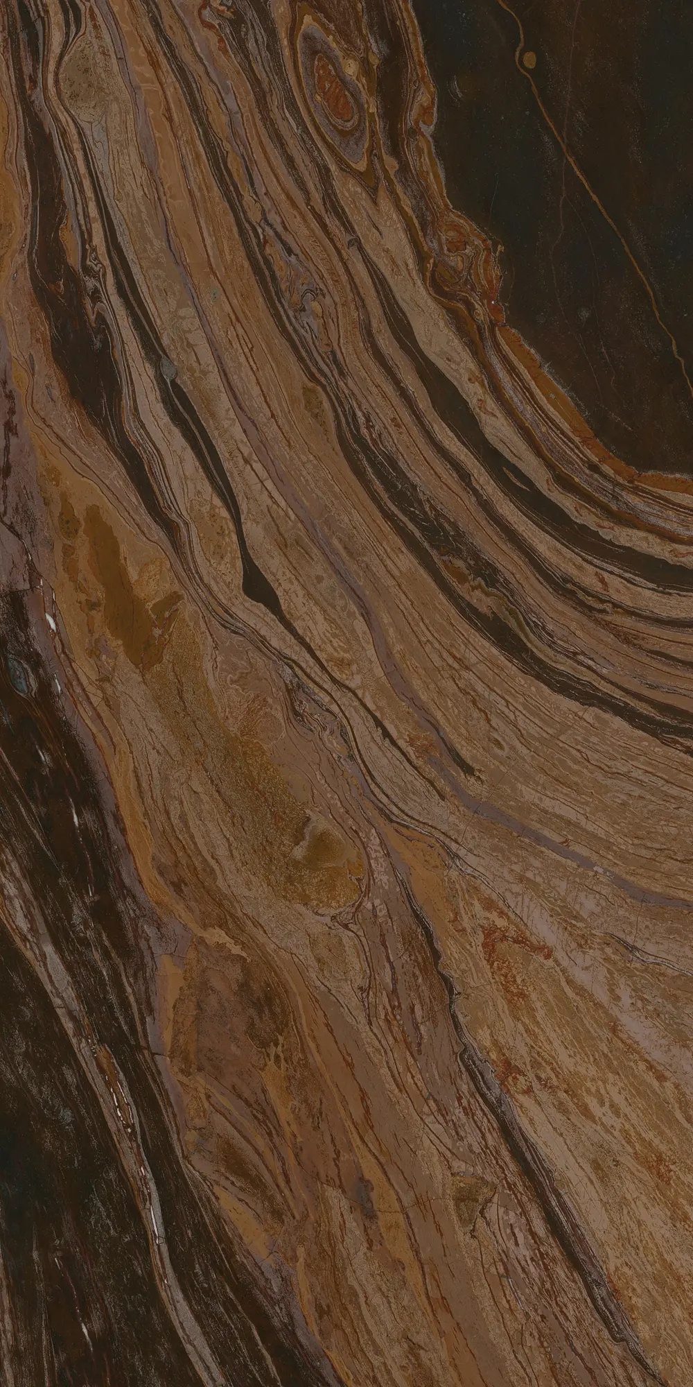 TECNOGRAFICA - Giove