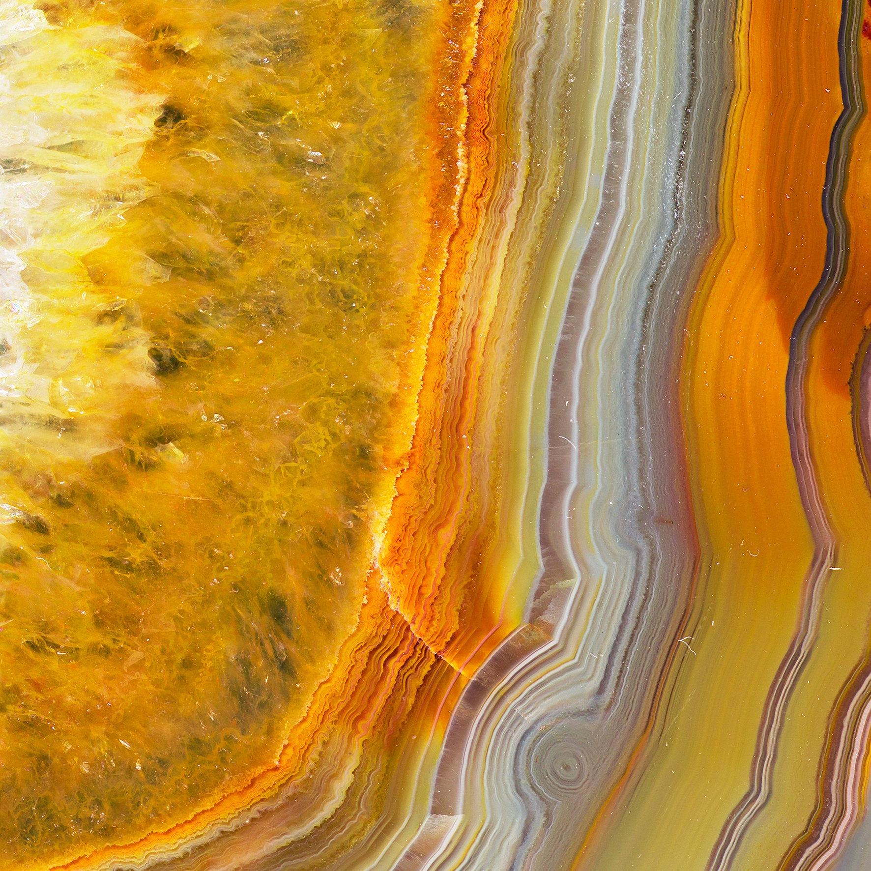 Sahara