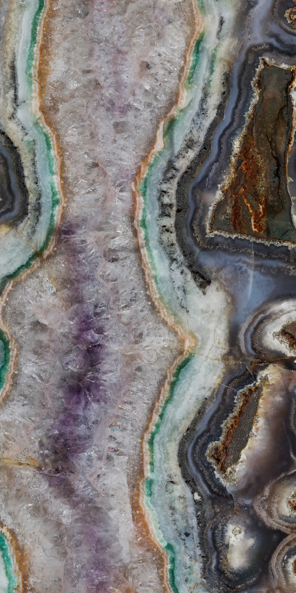 TECNOGRAFICA - Tortuga