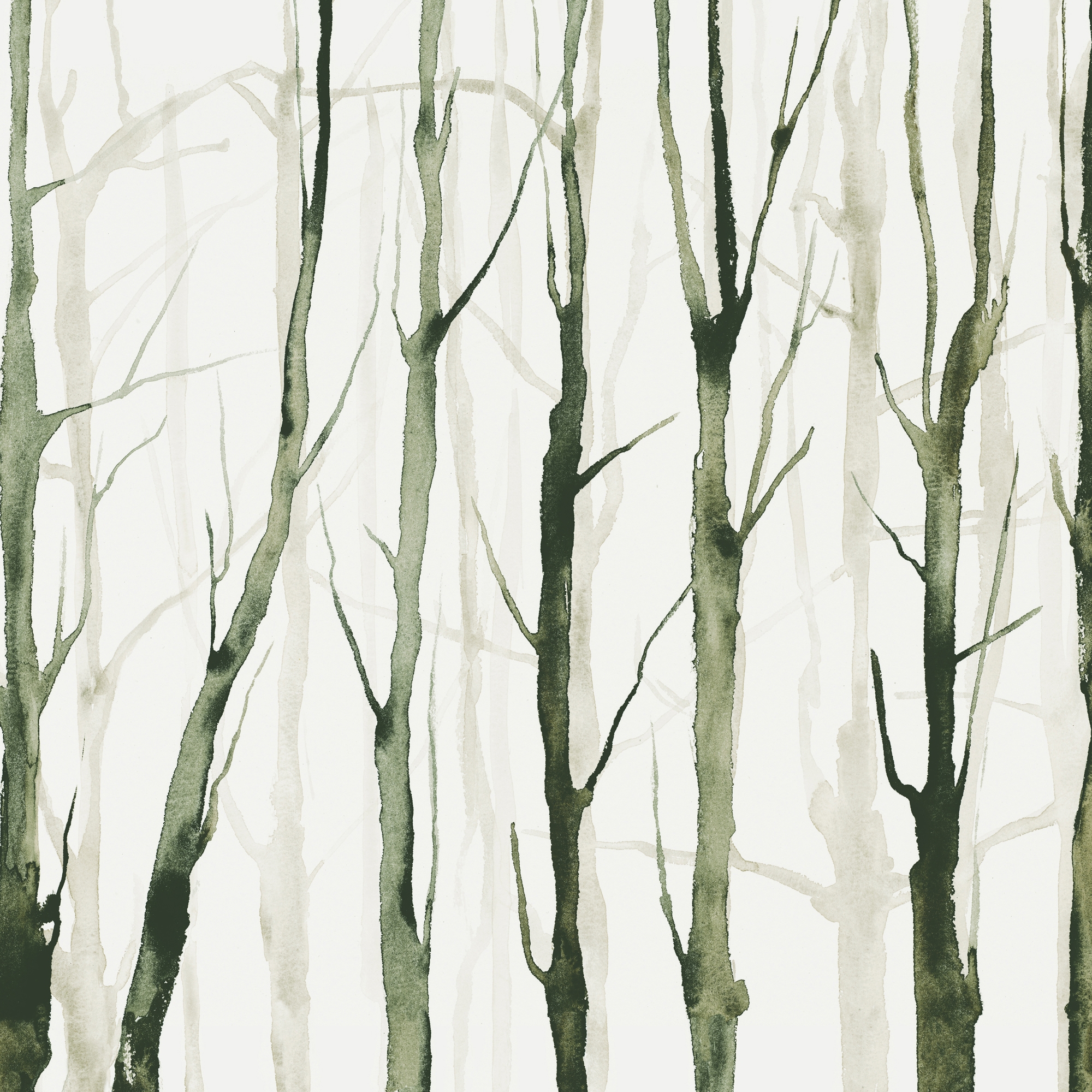 Mostra il prodotto Alberi Zen Verde del produttore TECNOGRAFICA