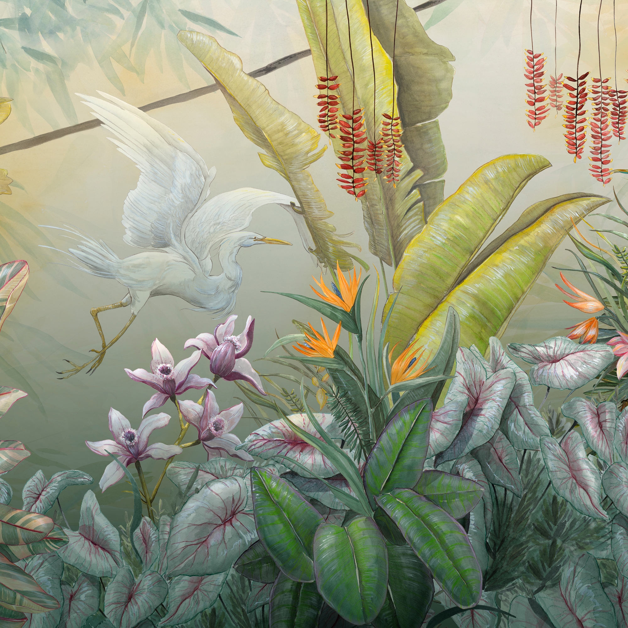 Arcadia Nature
