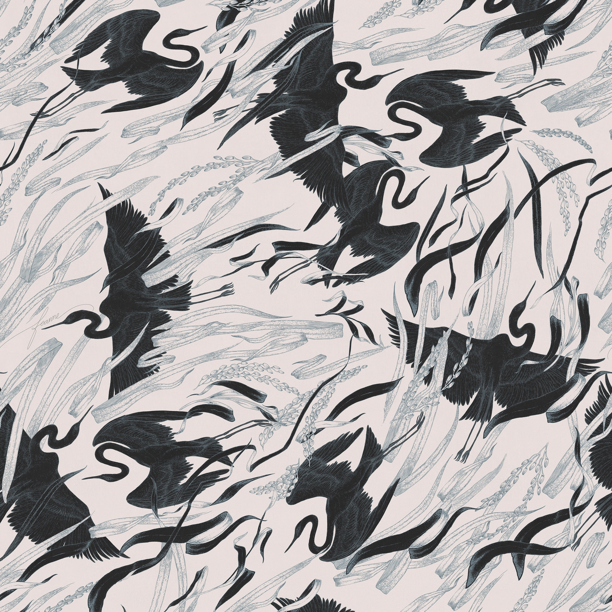 Egrets White