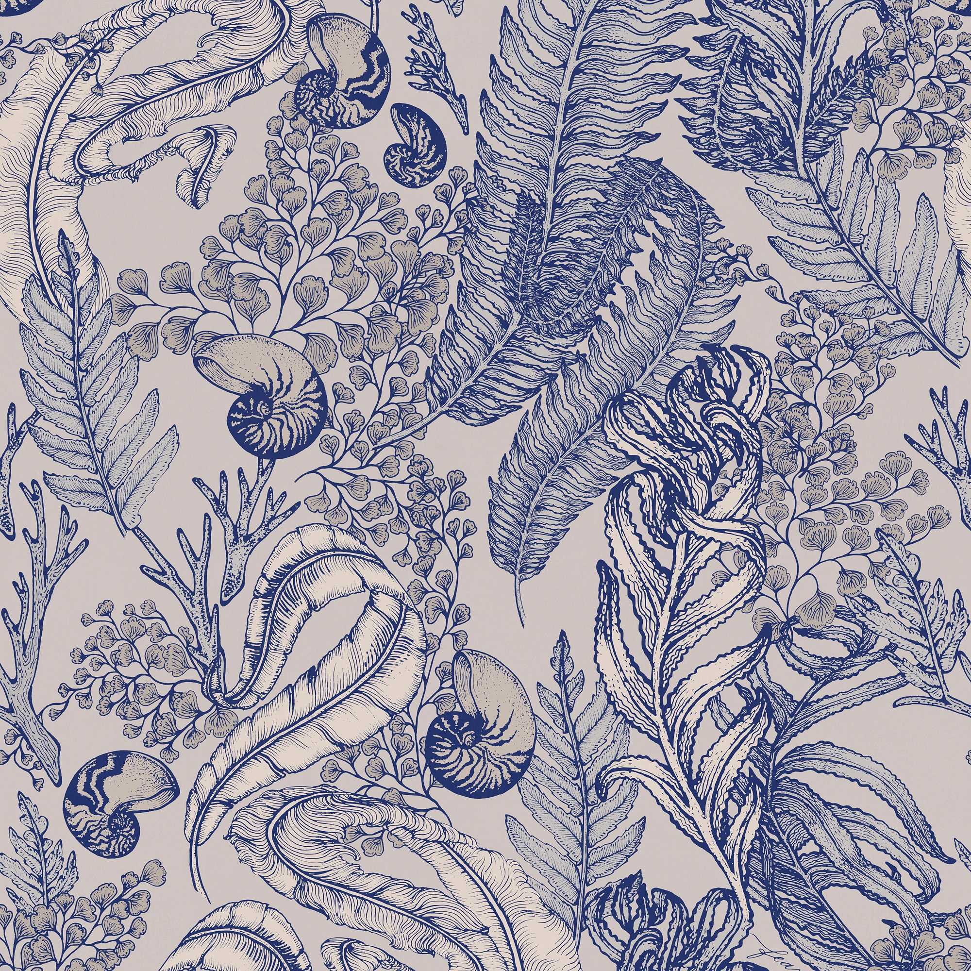 Display product Nautilus Porcelain from manufacturer TECNOGRAFICA