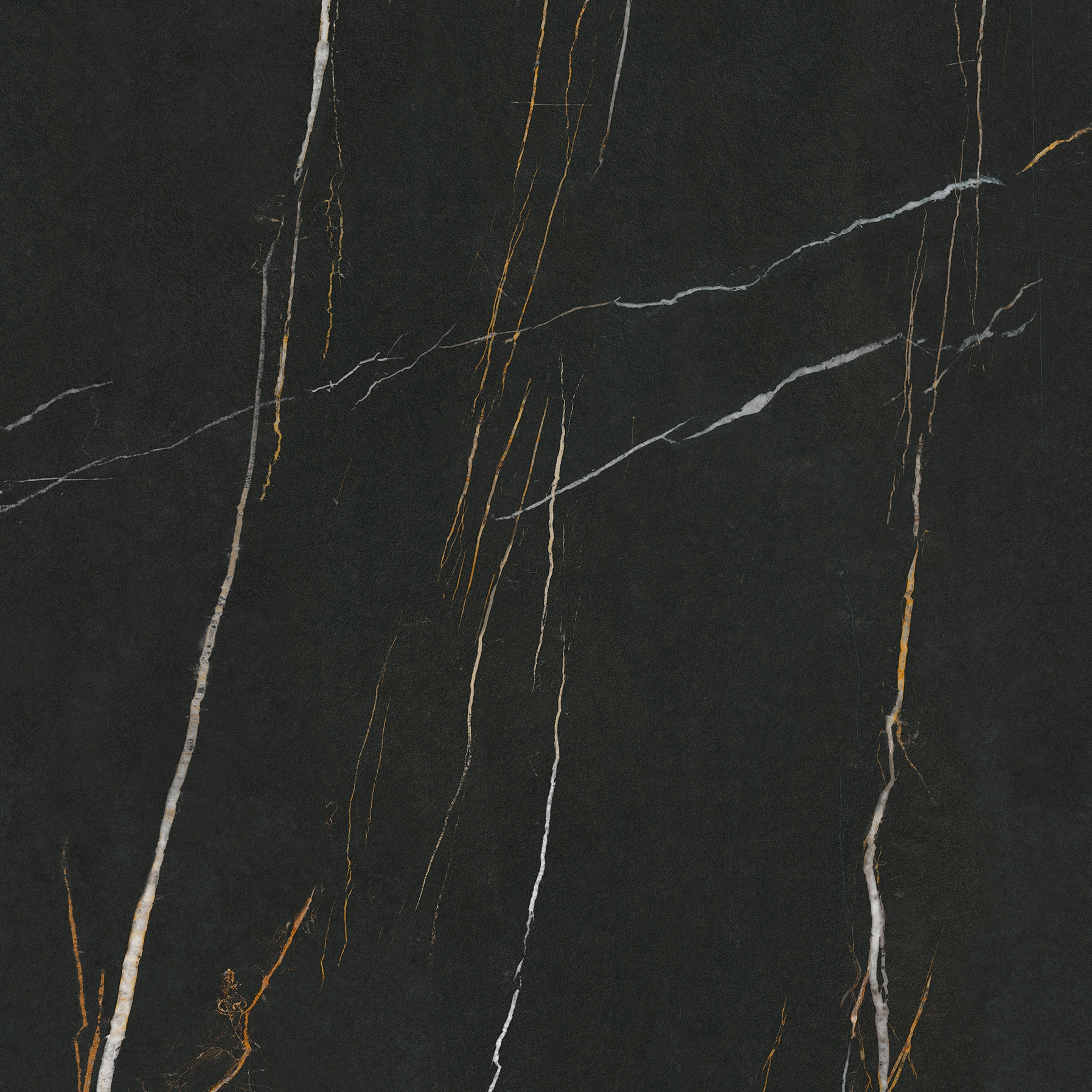 Sahara Noir 3