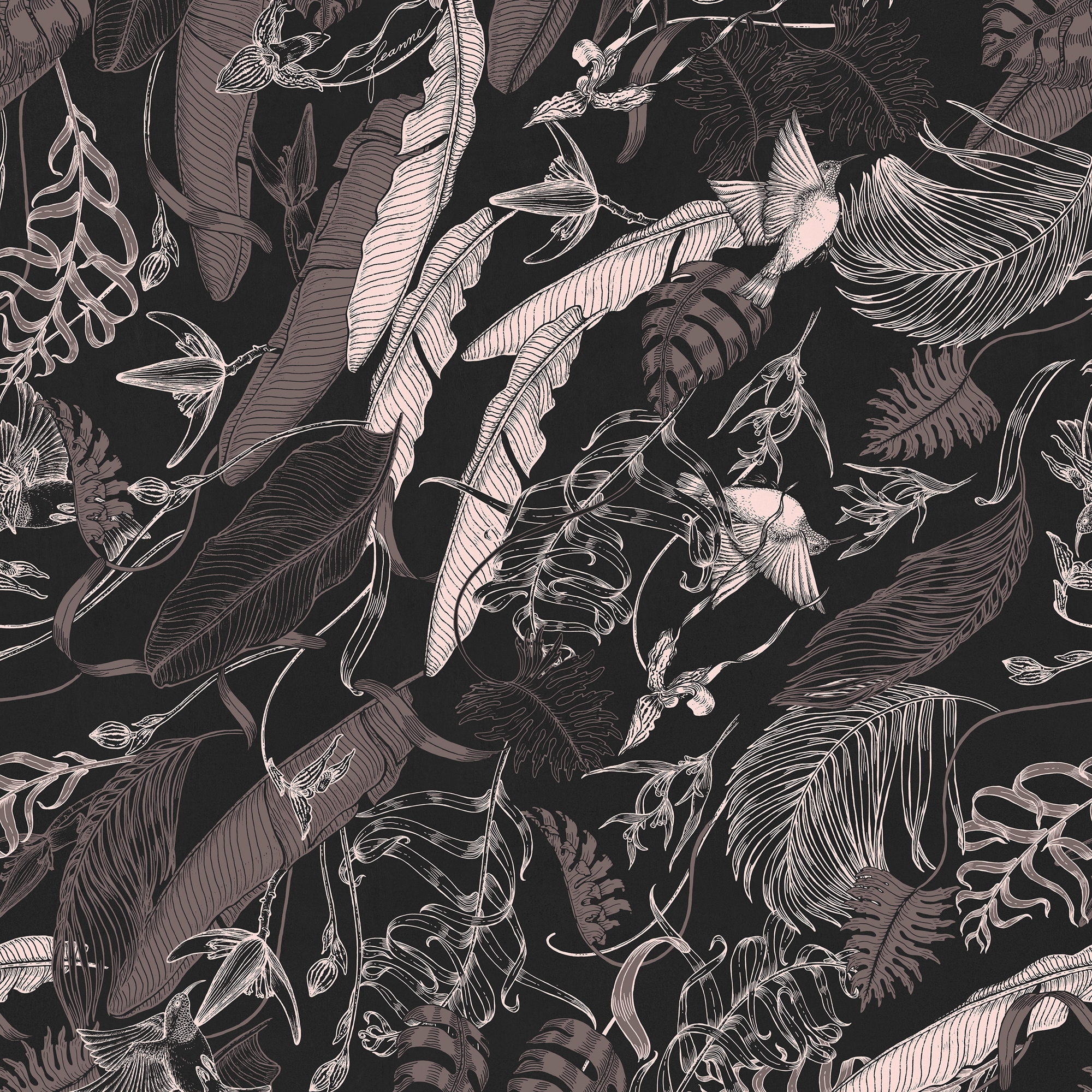 Tropical Foliage Black
