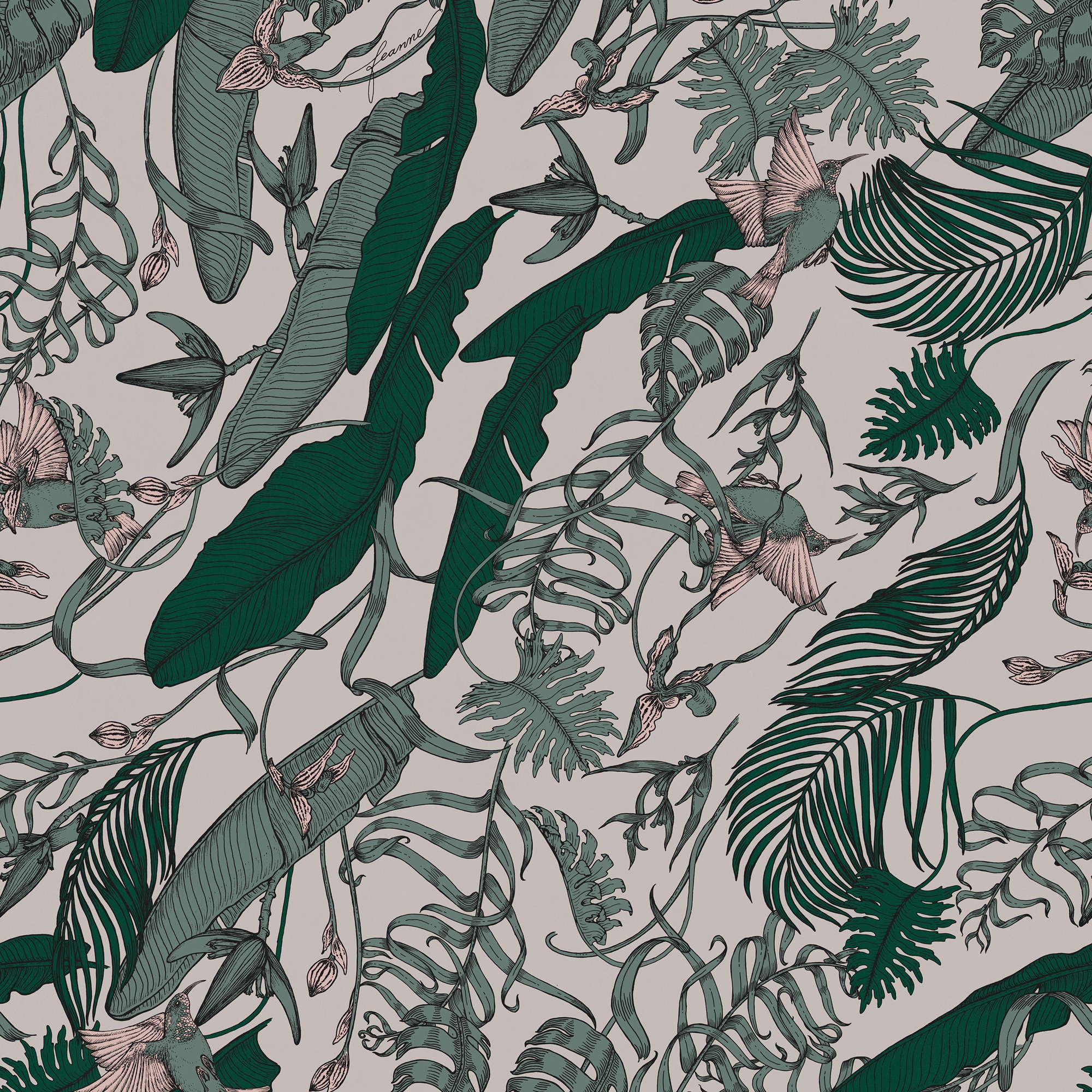 Display product Tropical Foliage Jade from manufacturer TECNOGRAFICA