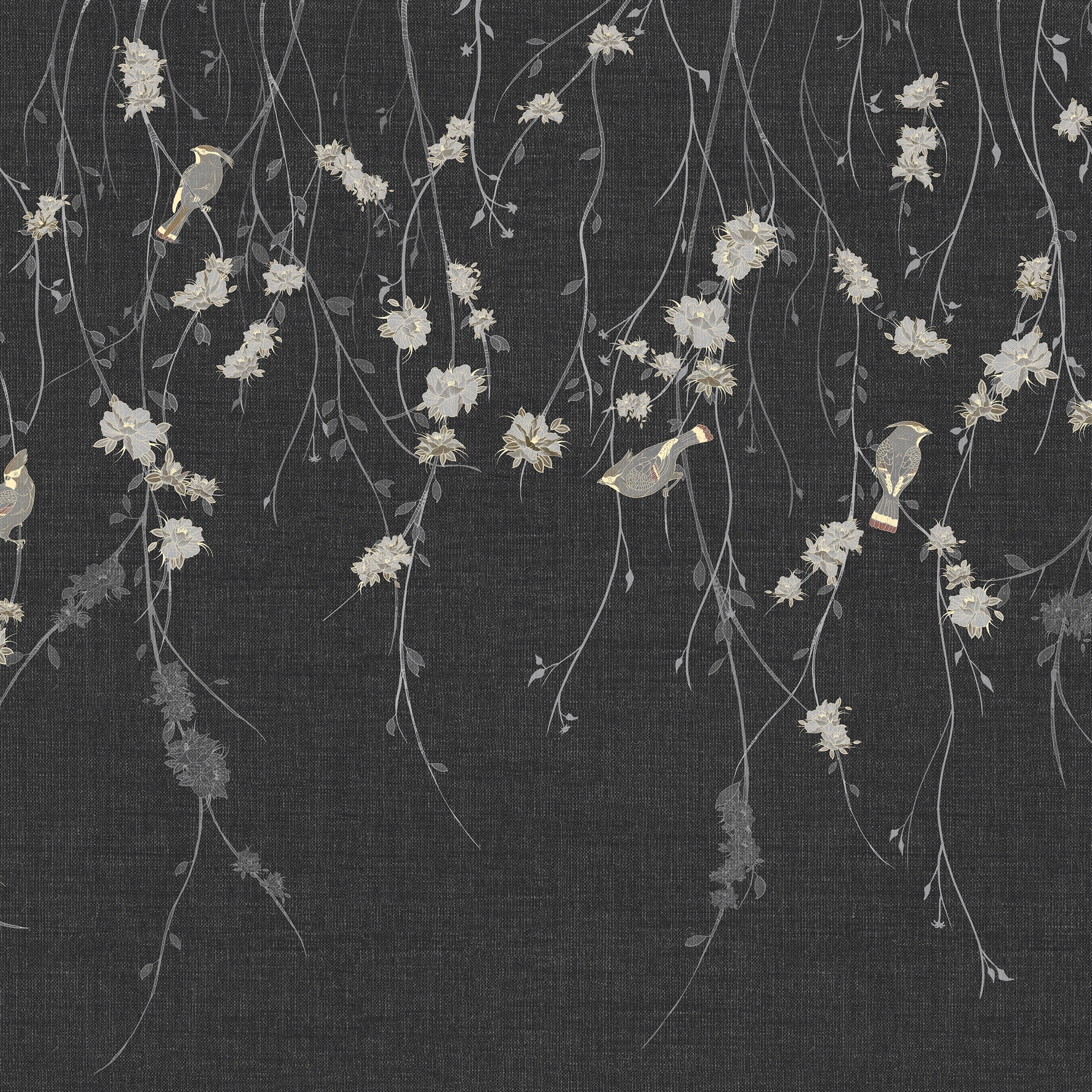 Afficher le produit Waxwing Anthracite du fabricant TECNOGRAFICA