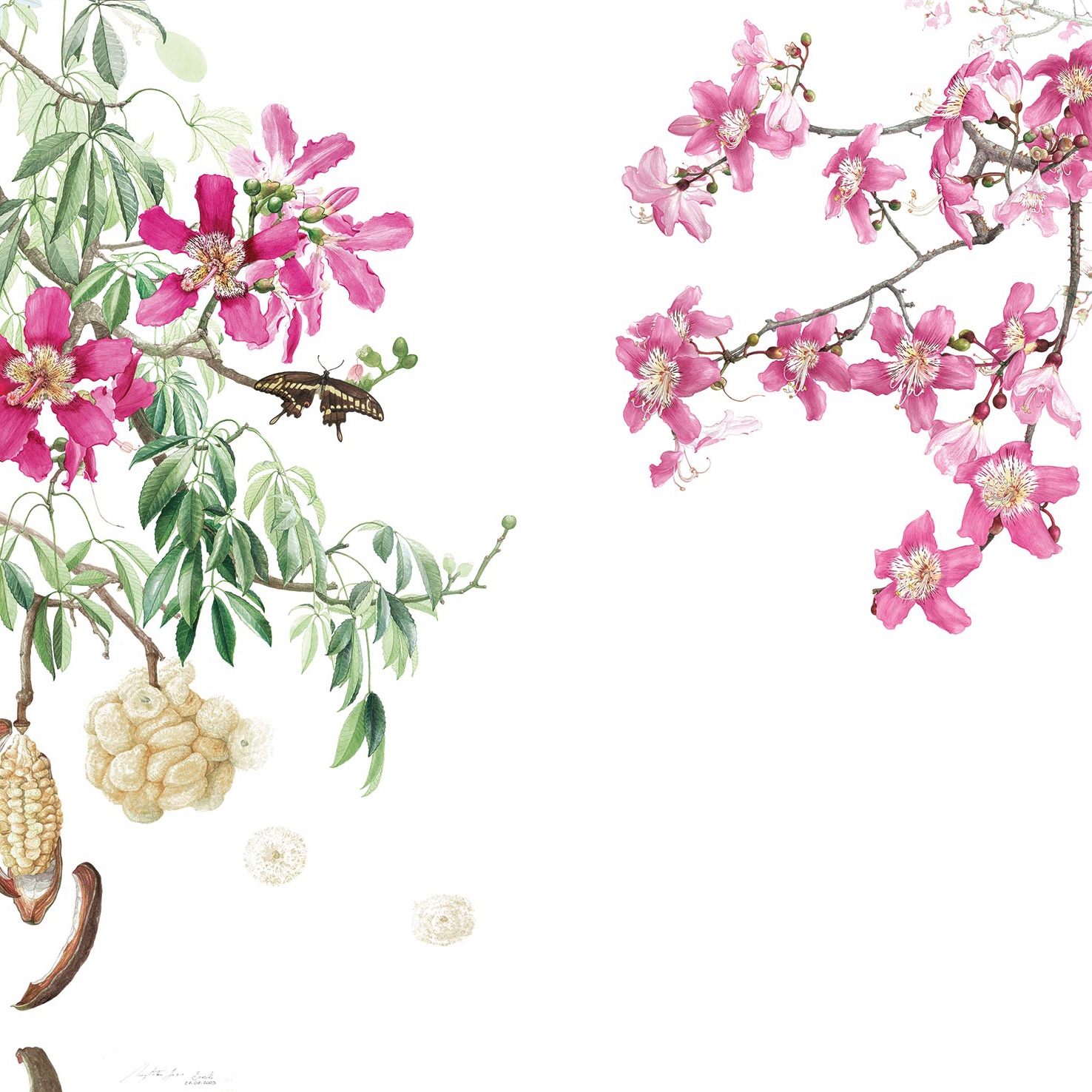 Produkt Ceiba Pink des Herstellers TECNOGRAFICA anzeigen