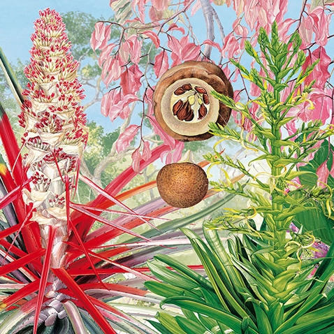 Produkt Paradiso 21 des Herstellers TECNOGRAFICA anzeigen