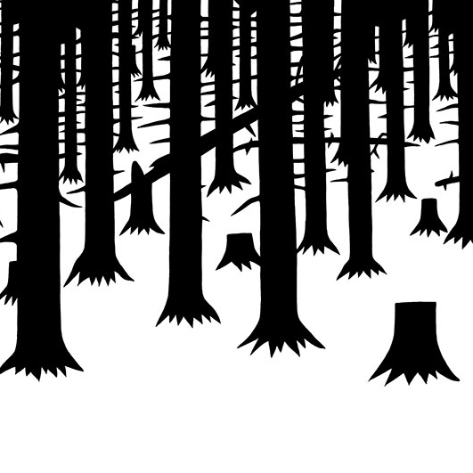 Ai piedi della foresta Liquirizia