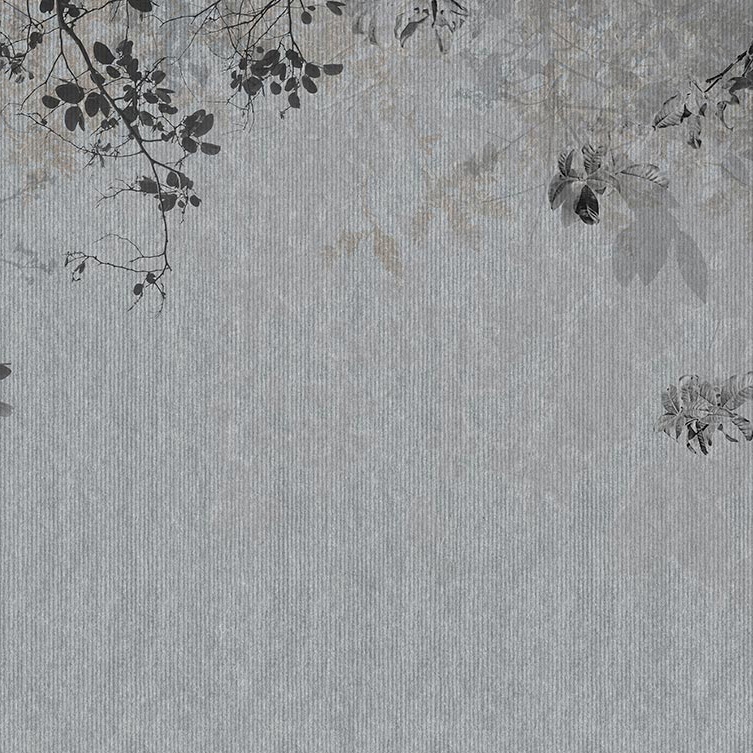 Athena Grey B