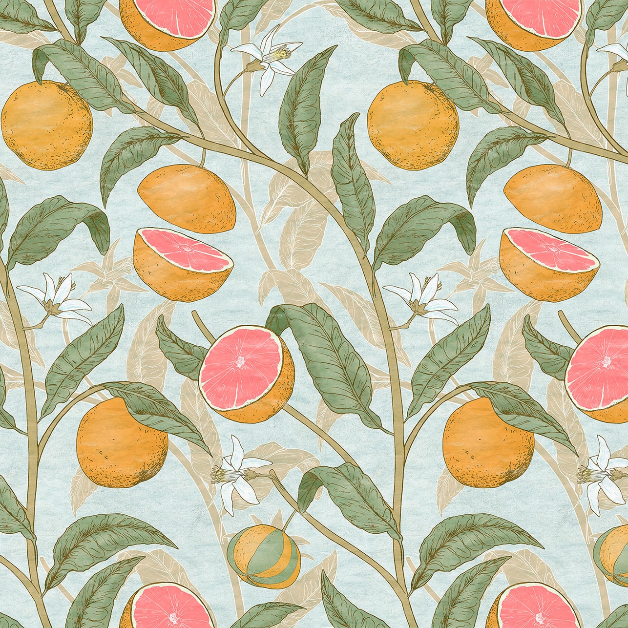 Citrus Anise
