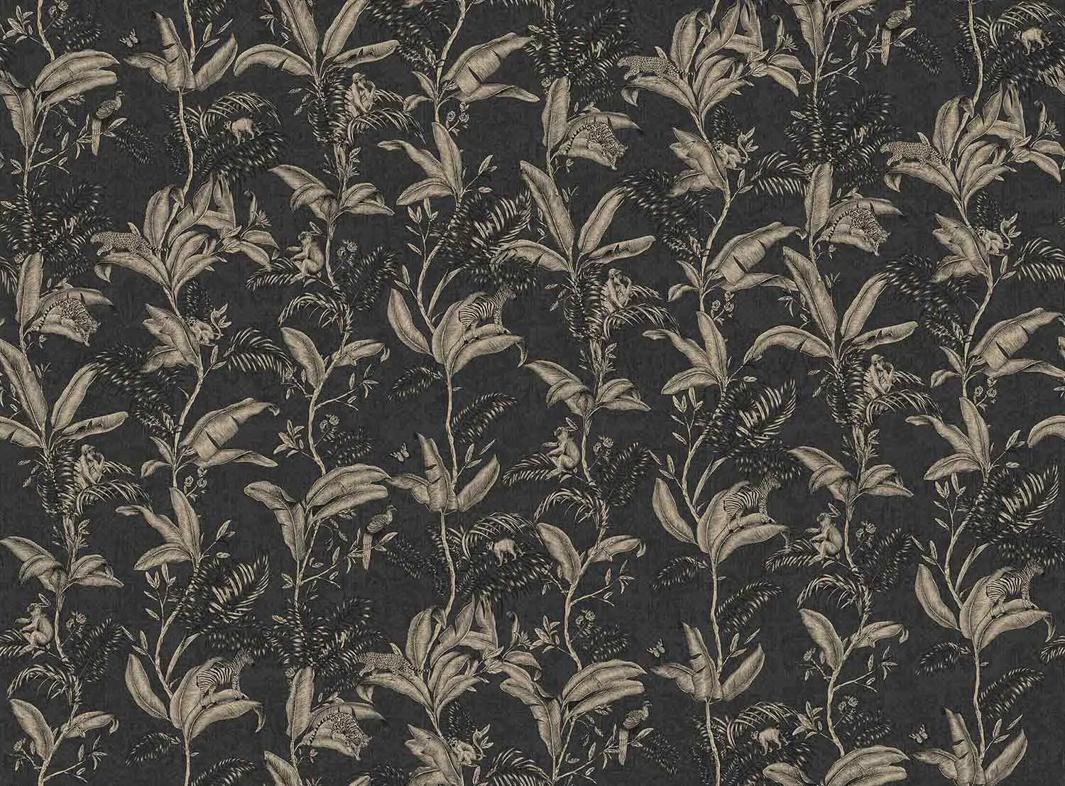 TECNOGRAFICA - Darwin Noir