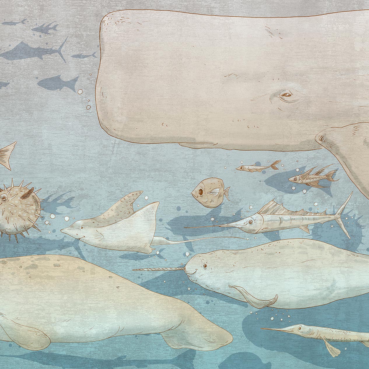 Afficher le produit Jonah Goldfish du fabricant TECNOGRAFICA