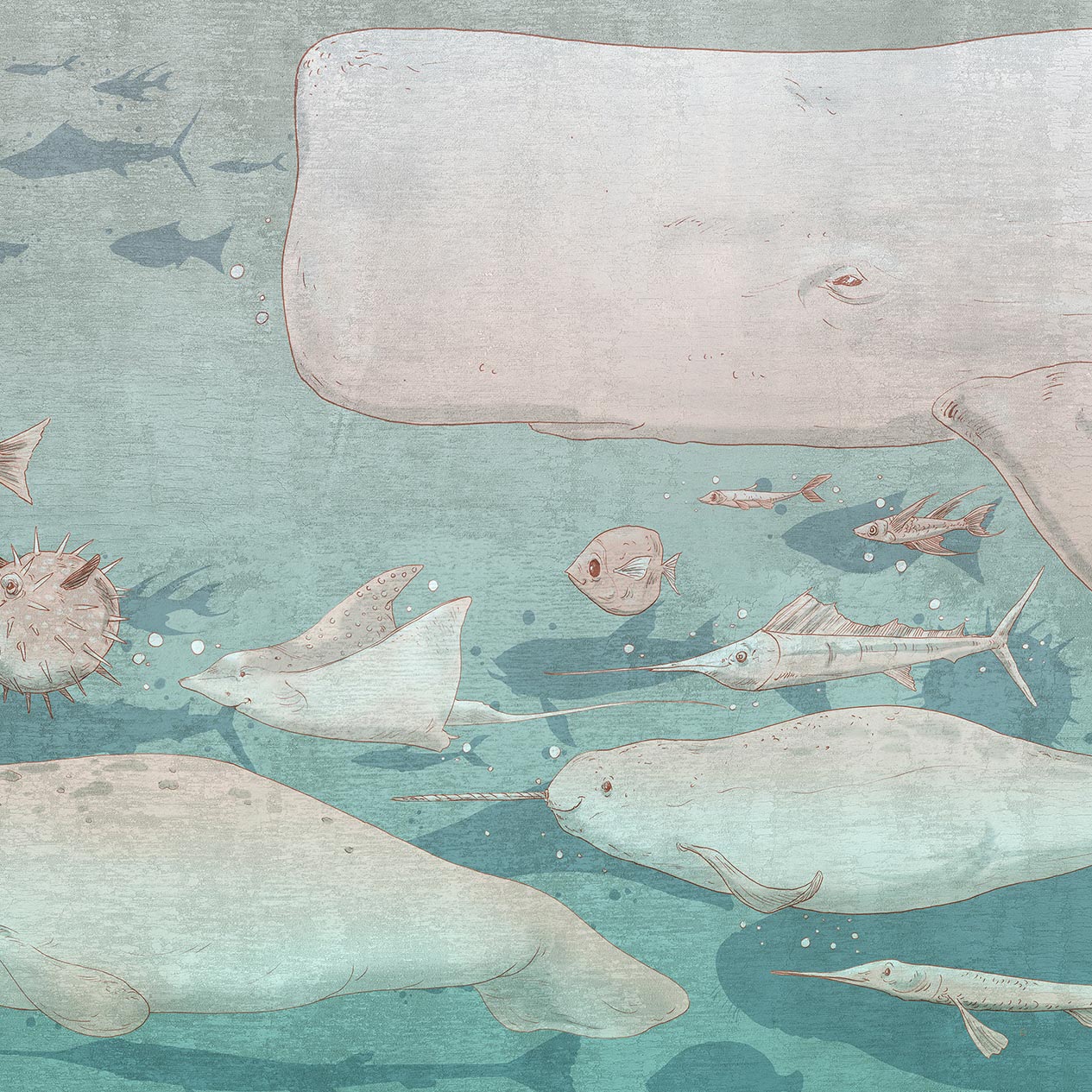 Jonah Salmon