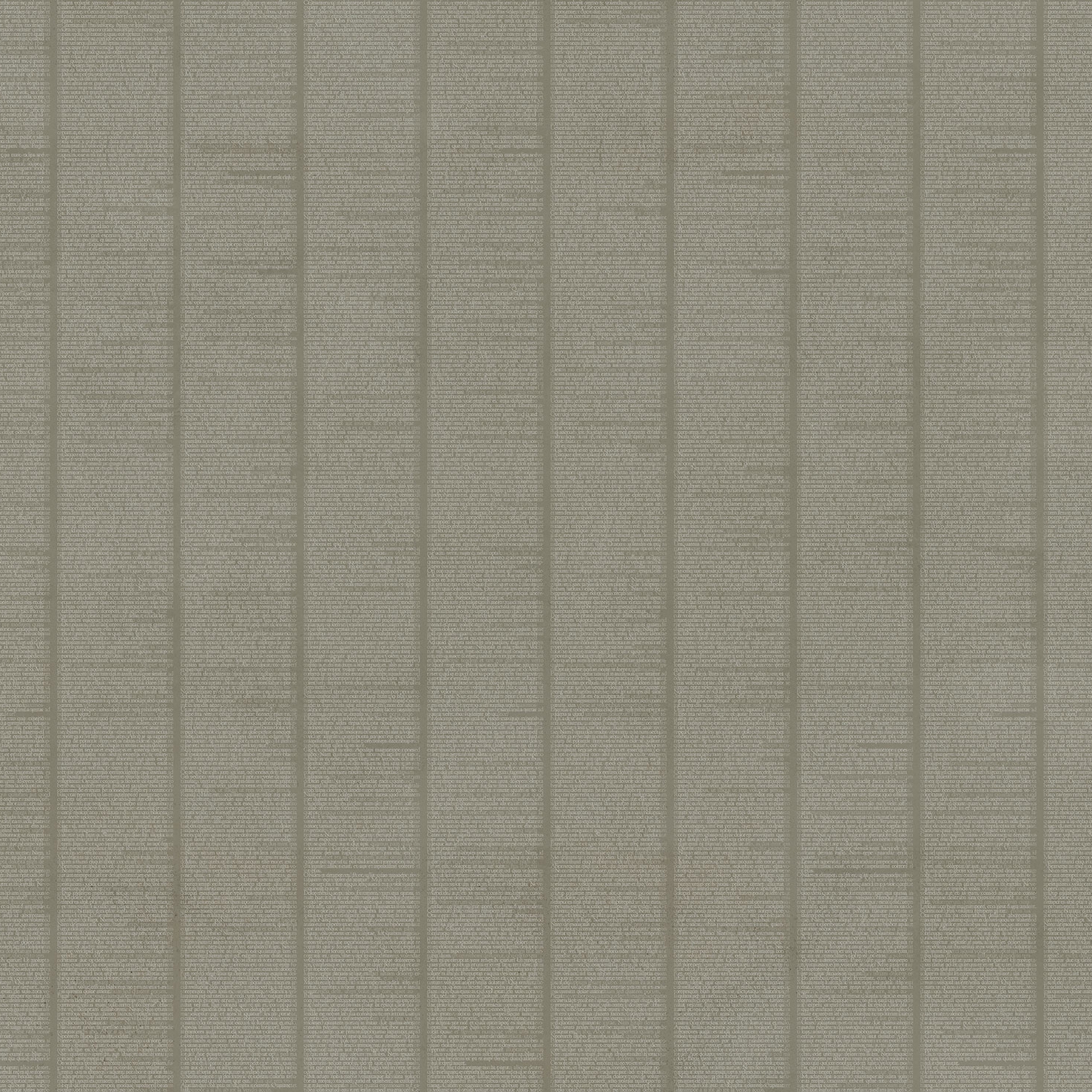 Lorem Ipsum Olive