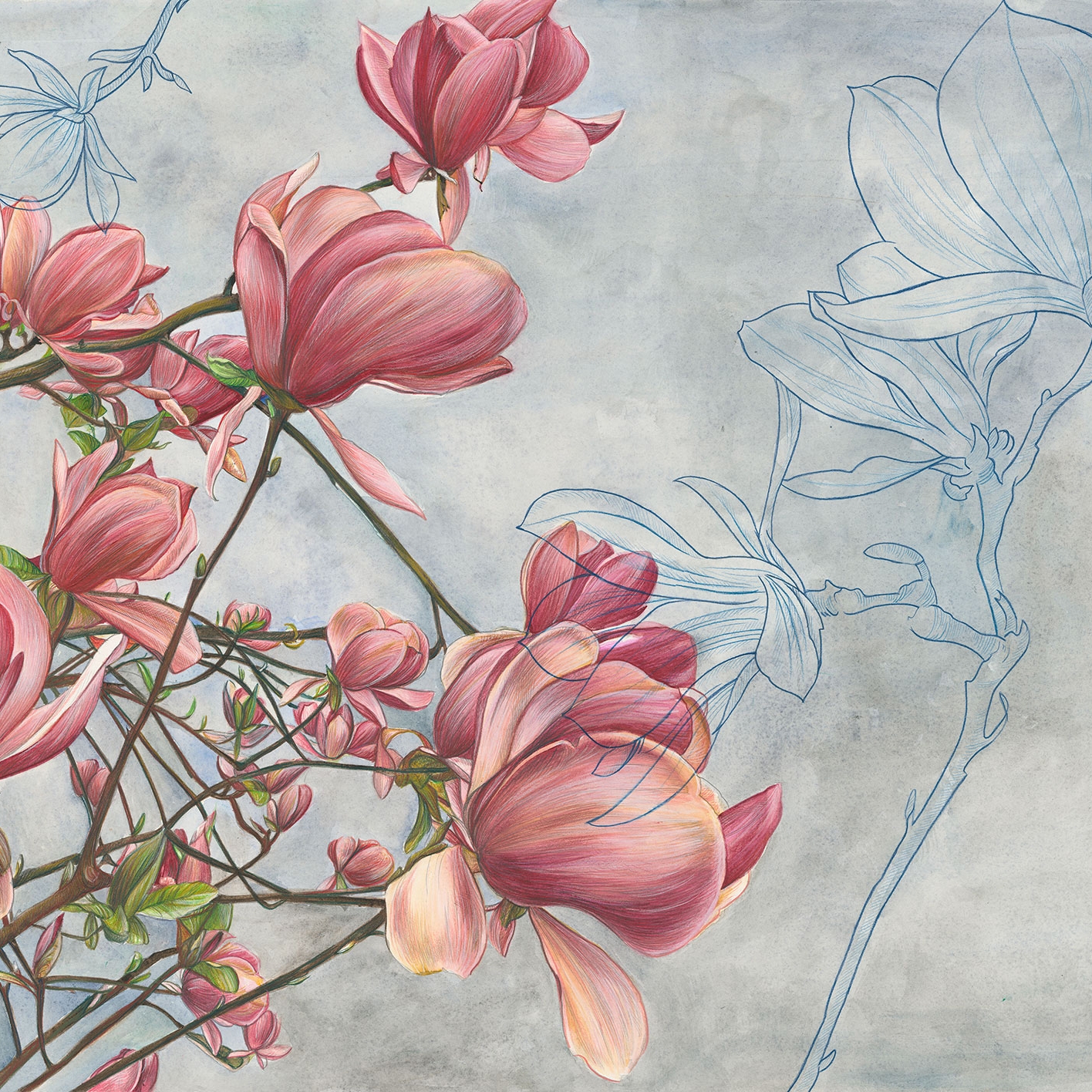 Mostra il prodotto Magnolia in bloom del produttore TECNOGRAFICA