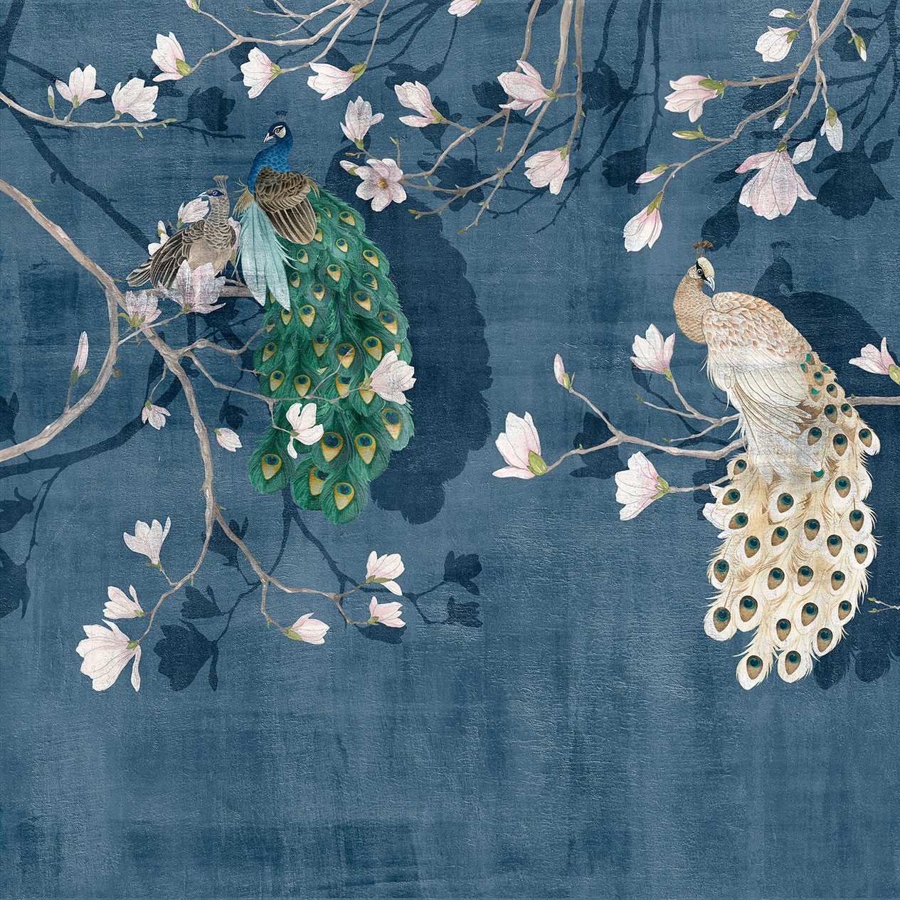Sensai Blue