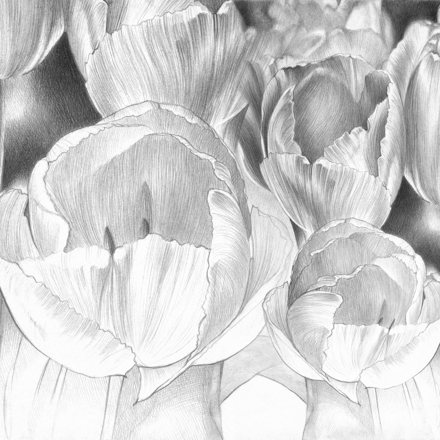 Vertoon produk Stillness van vervaardiger TECNOGRAFICA